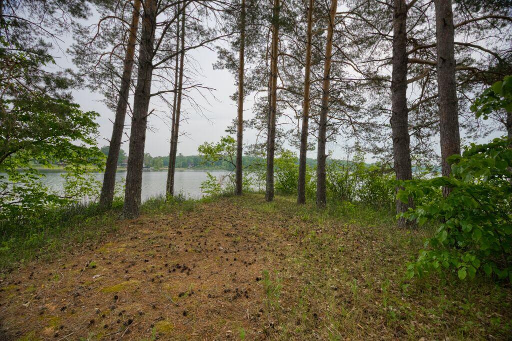 30901 Sunny Beach Road Property Photo 29