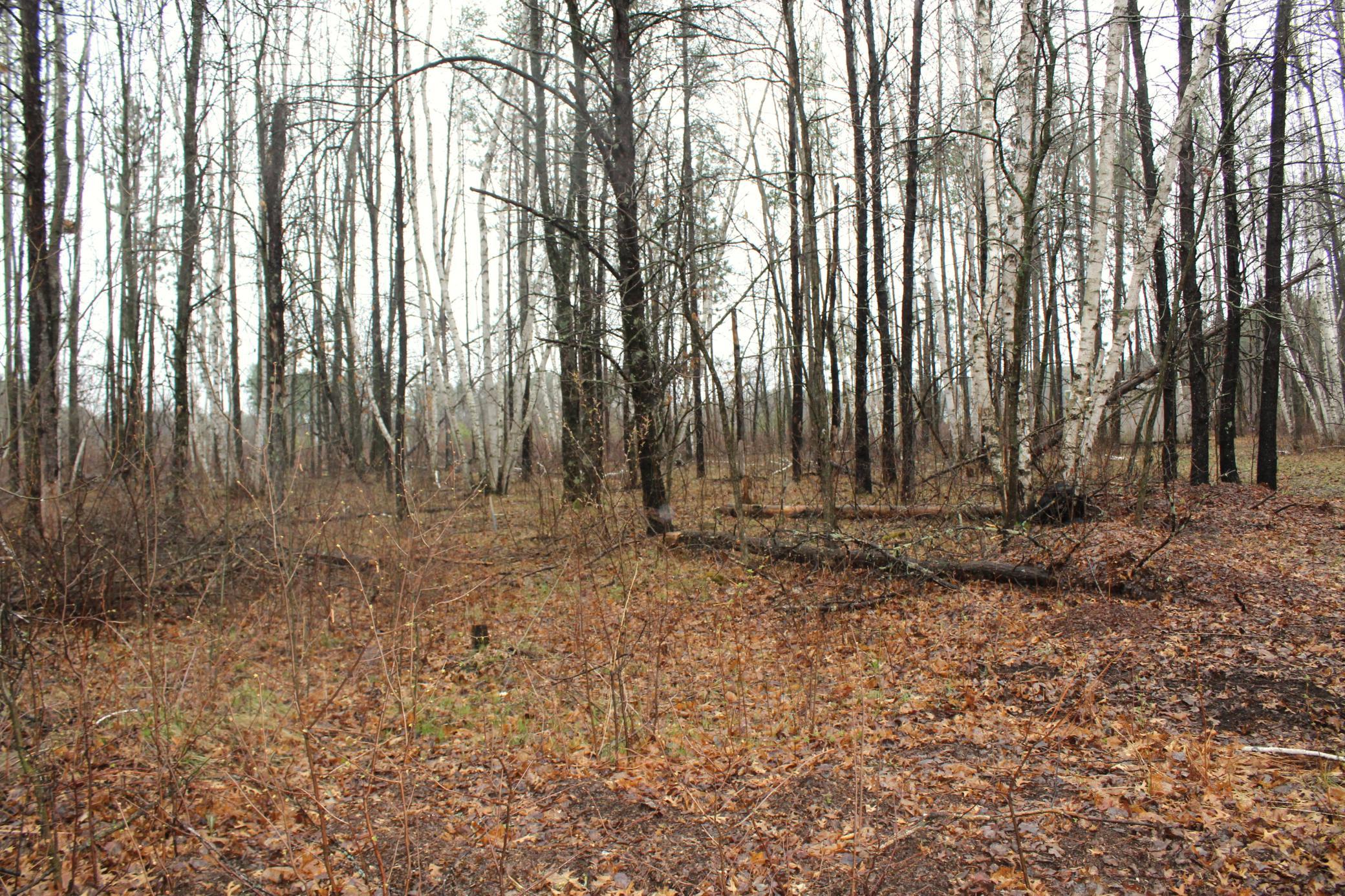 Tbd 470th Street Property Photo 4