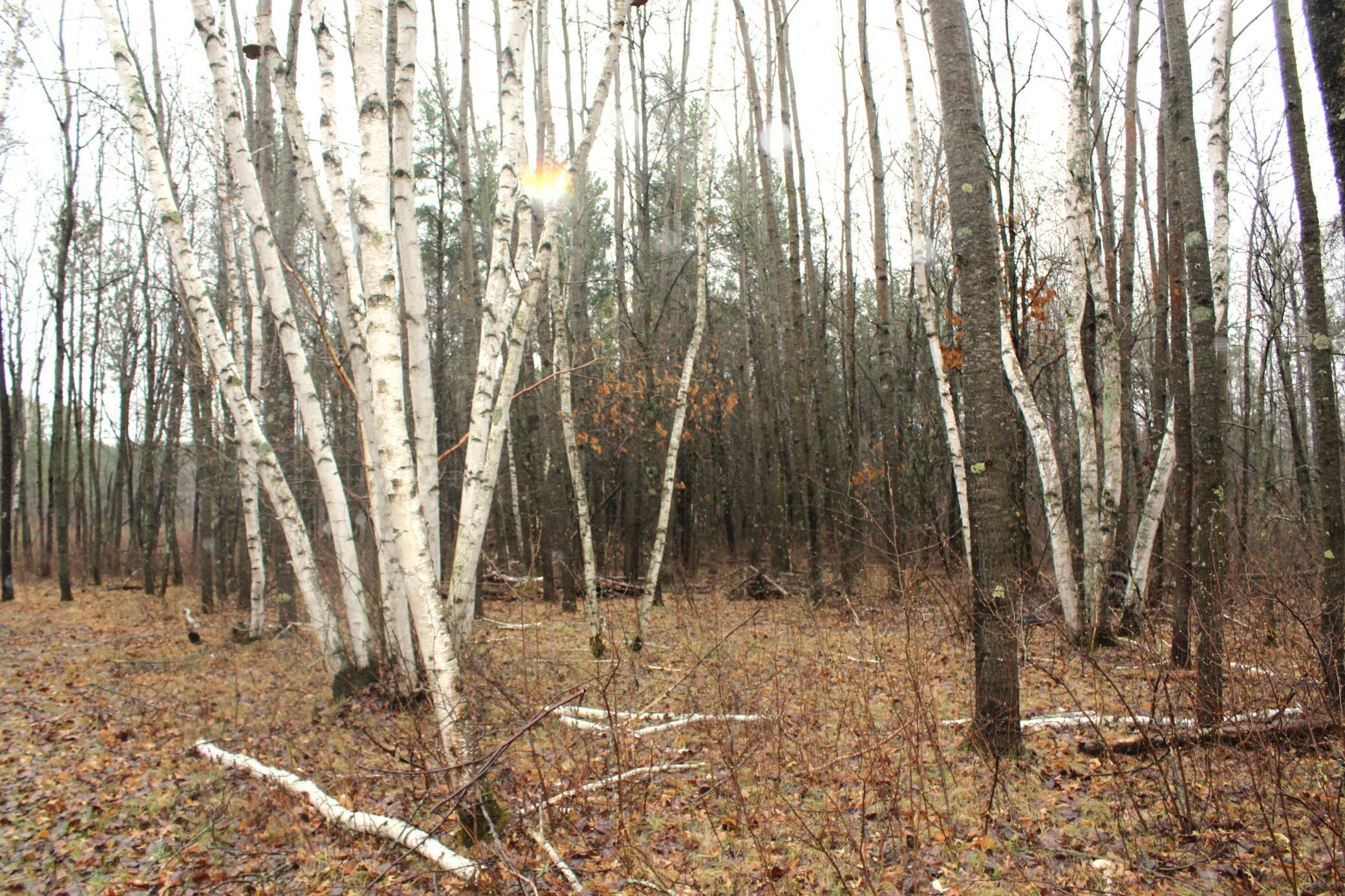 Tbd 470th Street Property Photo 5