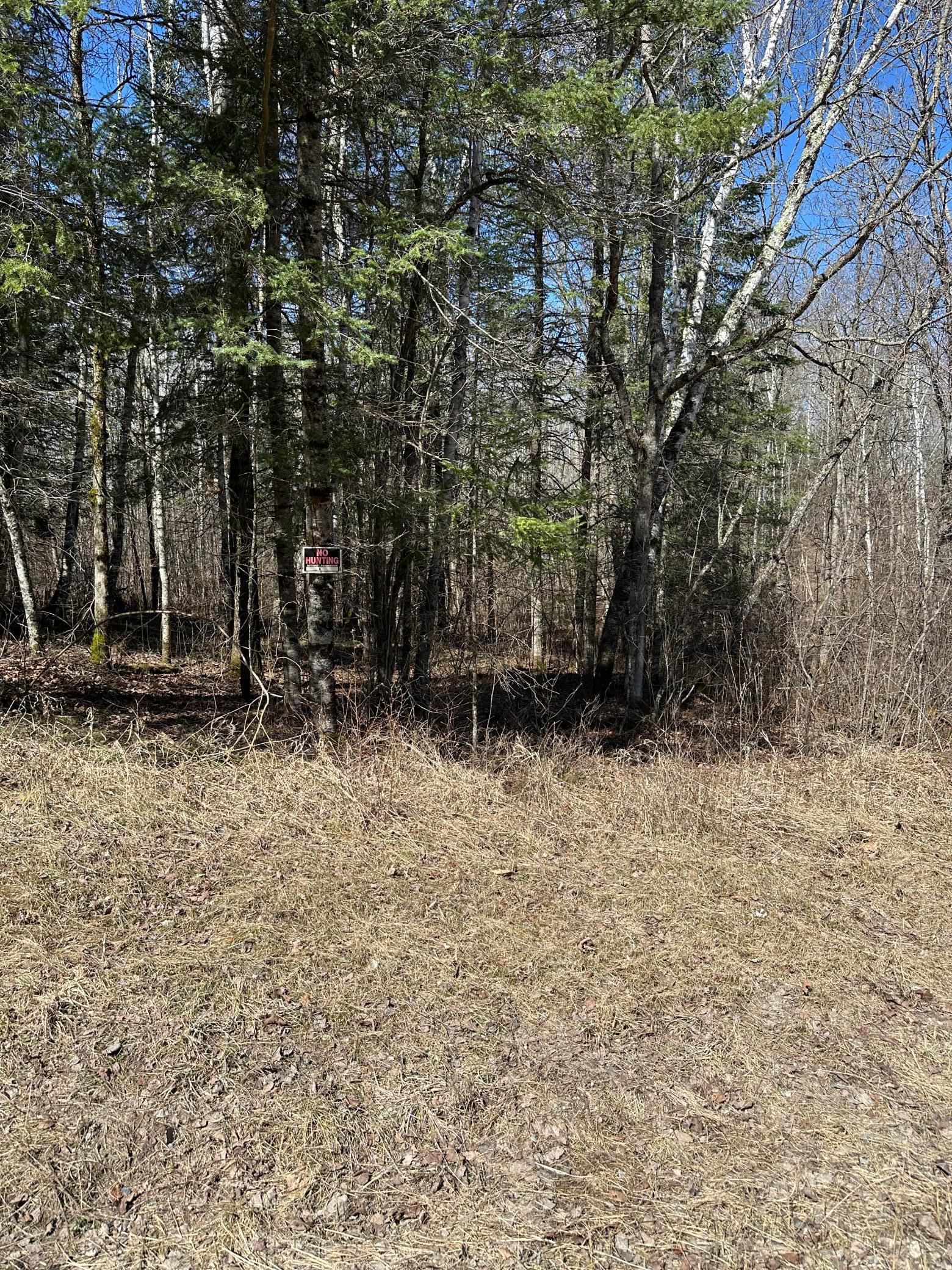 Tbd Ct 307 Property Photo 3