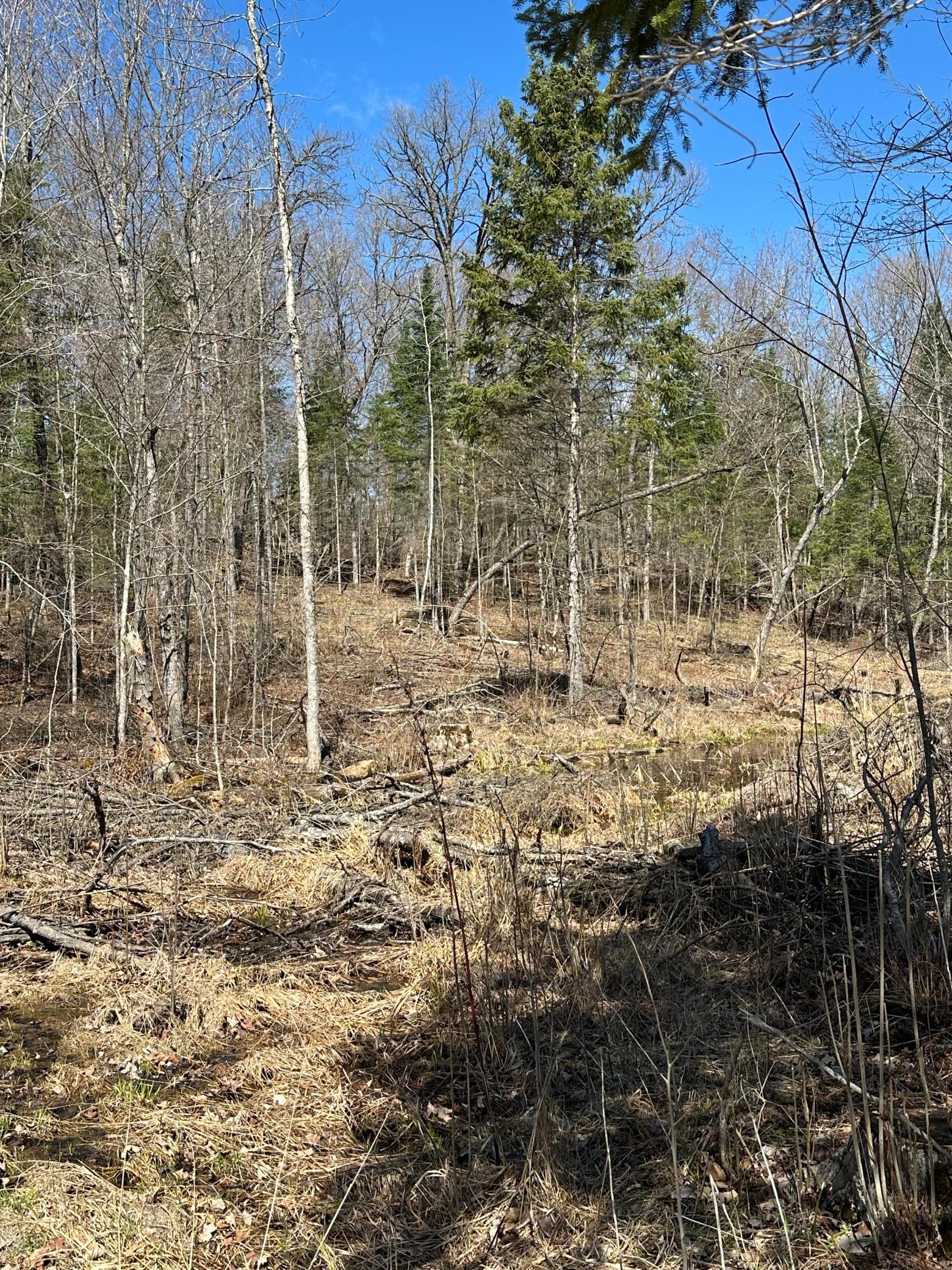 Tbd Ct 307 Property Photo 11