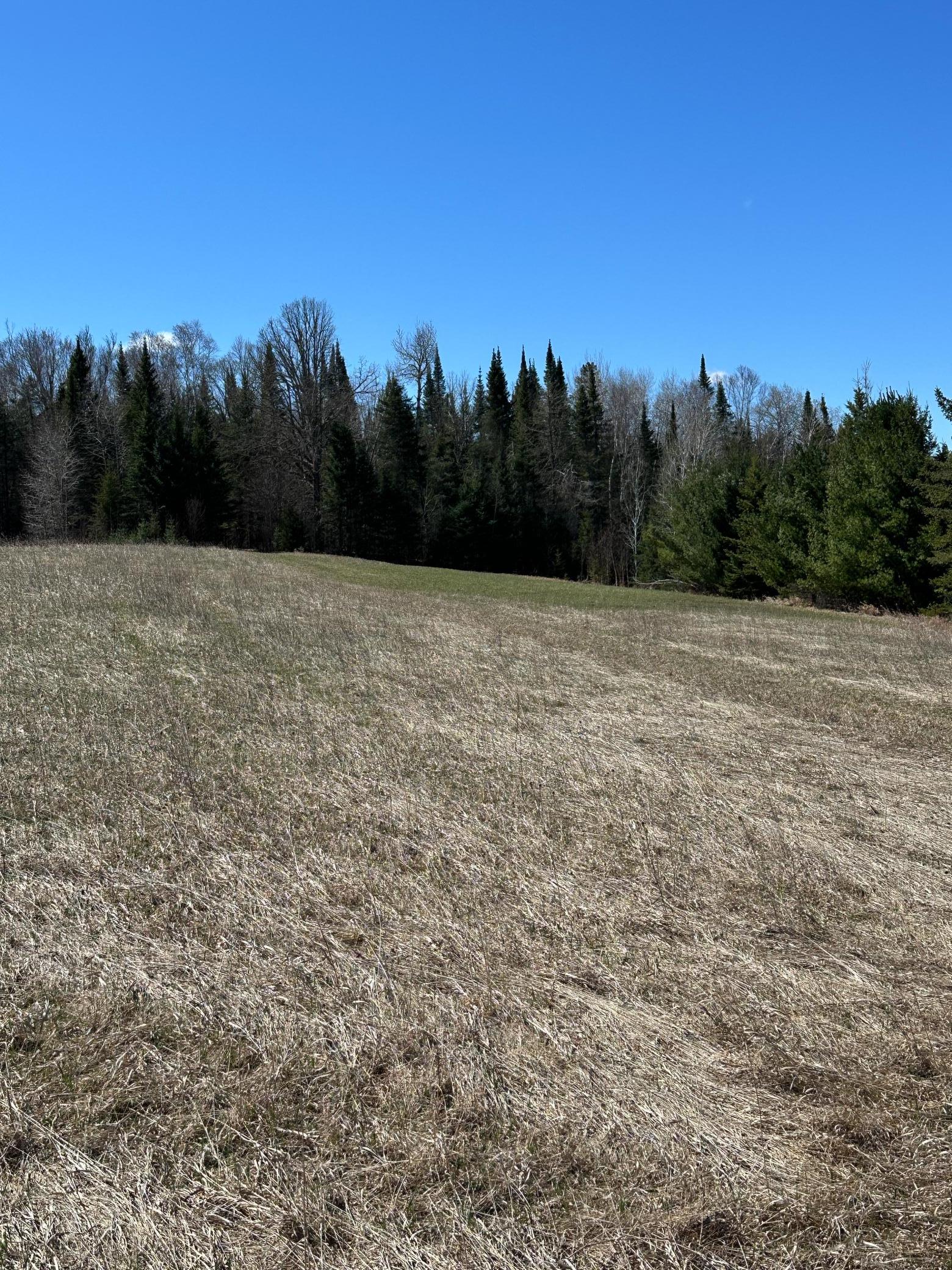 Tbd Ct 307 Property Photo 12