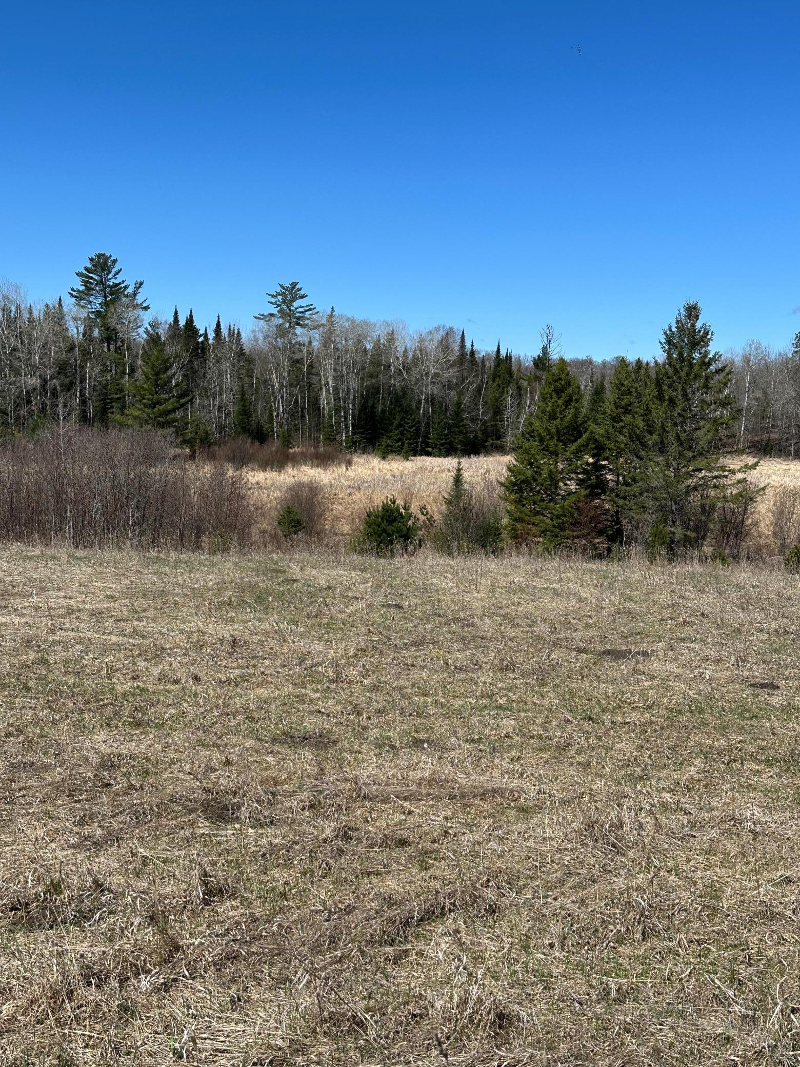 Tbd Ct 307 Property Photo 13