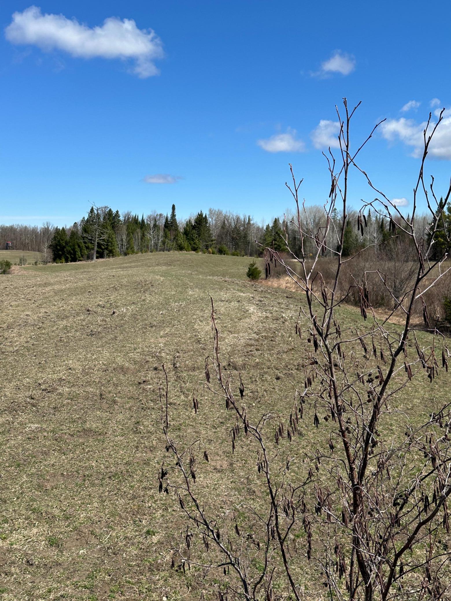 Tbd Ct 307 Property Photo 15