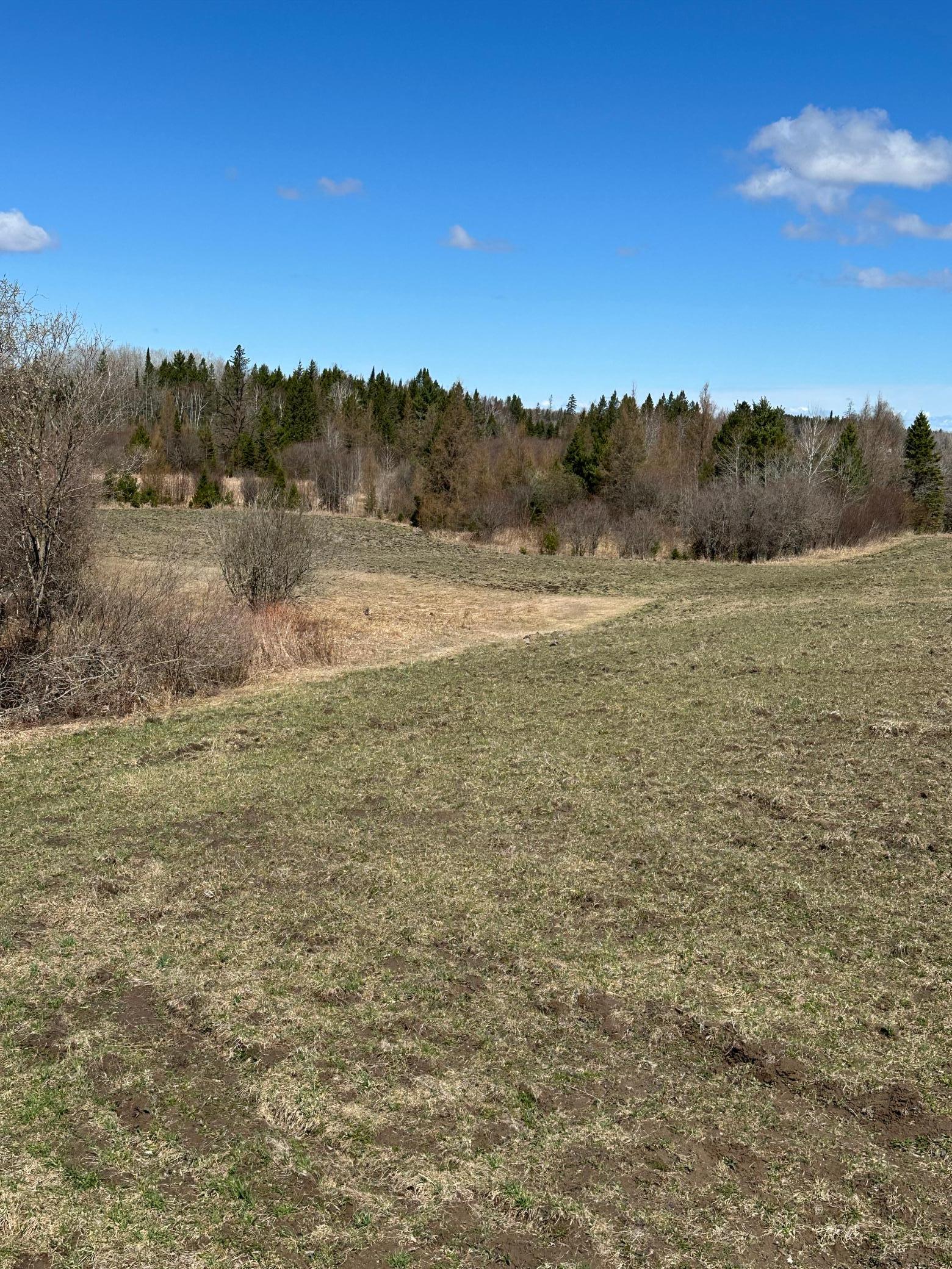 Tbd Ct 307 Property Photo 17