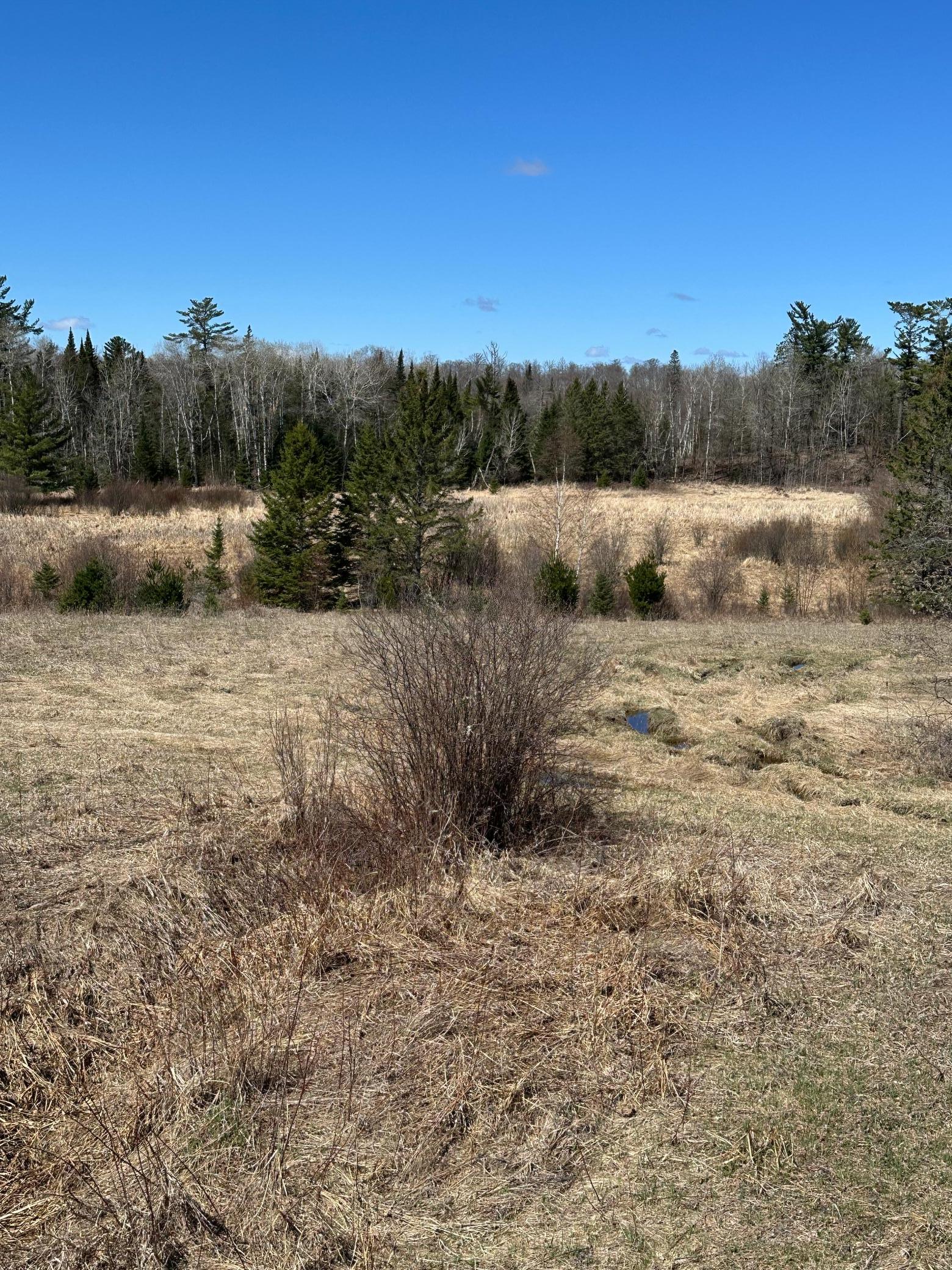 Tbd Ct 307 Property Photo 19