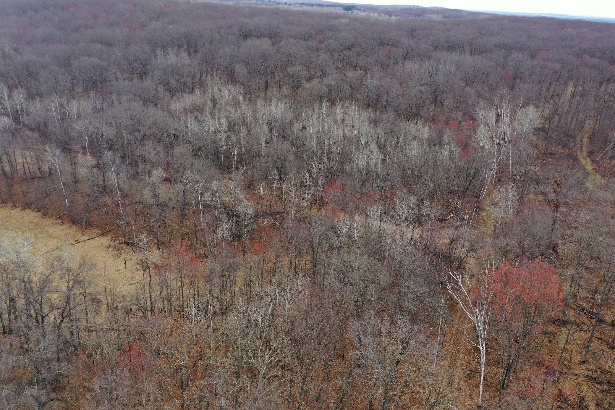 Tbd Barrett Trail Property Photo 8