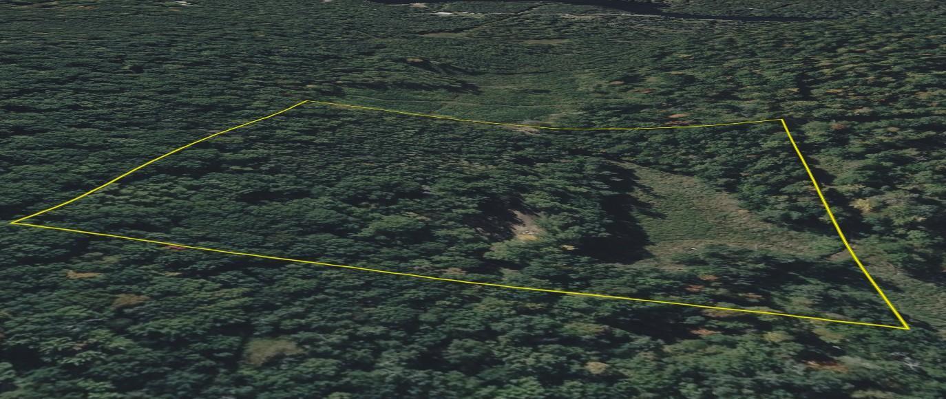 Tbd Barrett Trail Property Photo 11