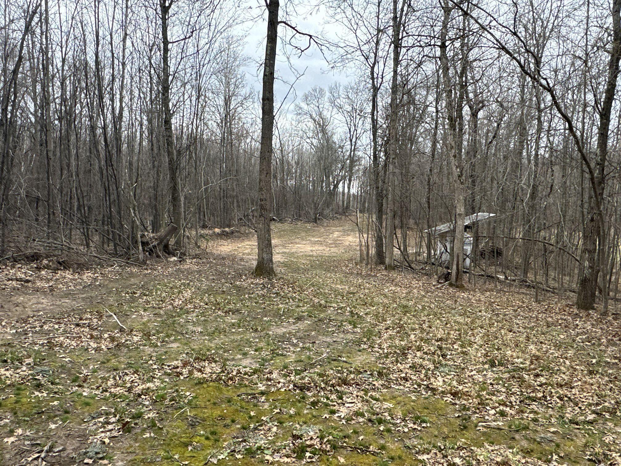 Tbd Barrett Trail Property Photo 12