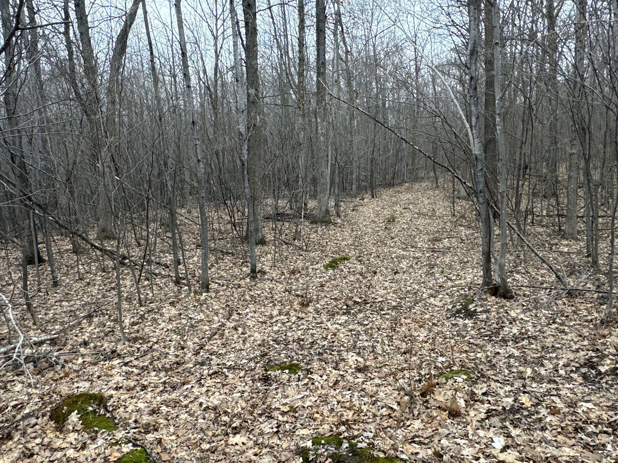 Tbd Barrett Trail Property Photo 14
