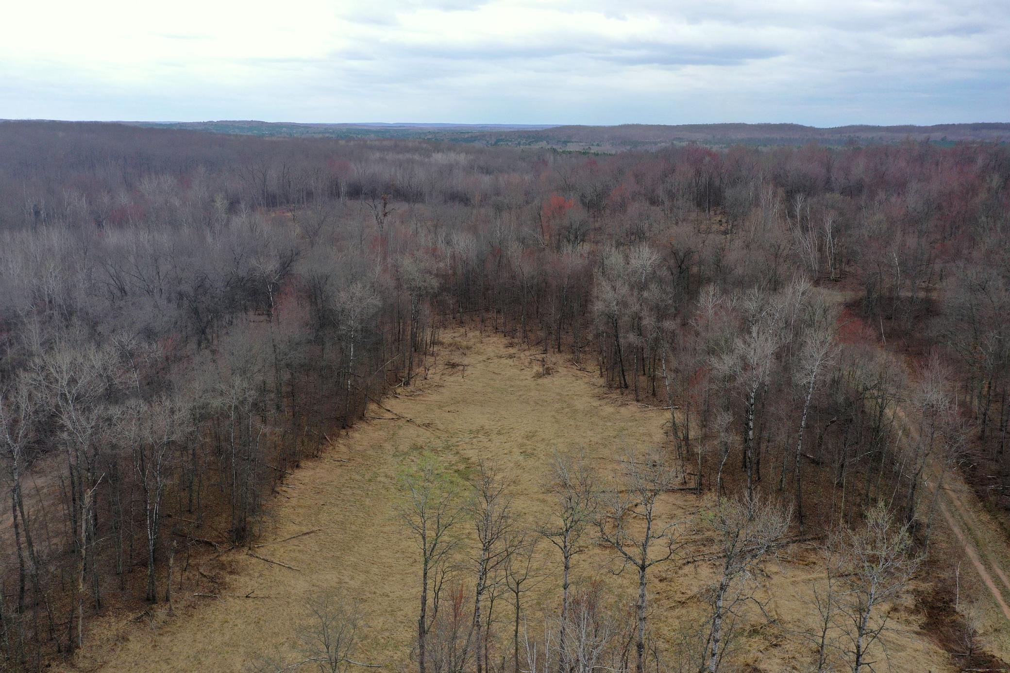 Tbd Barrett Trail Property Photo 17