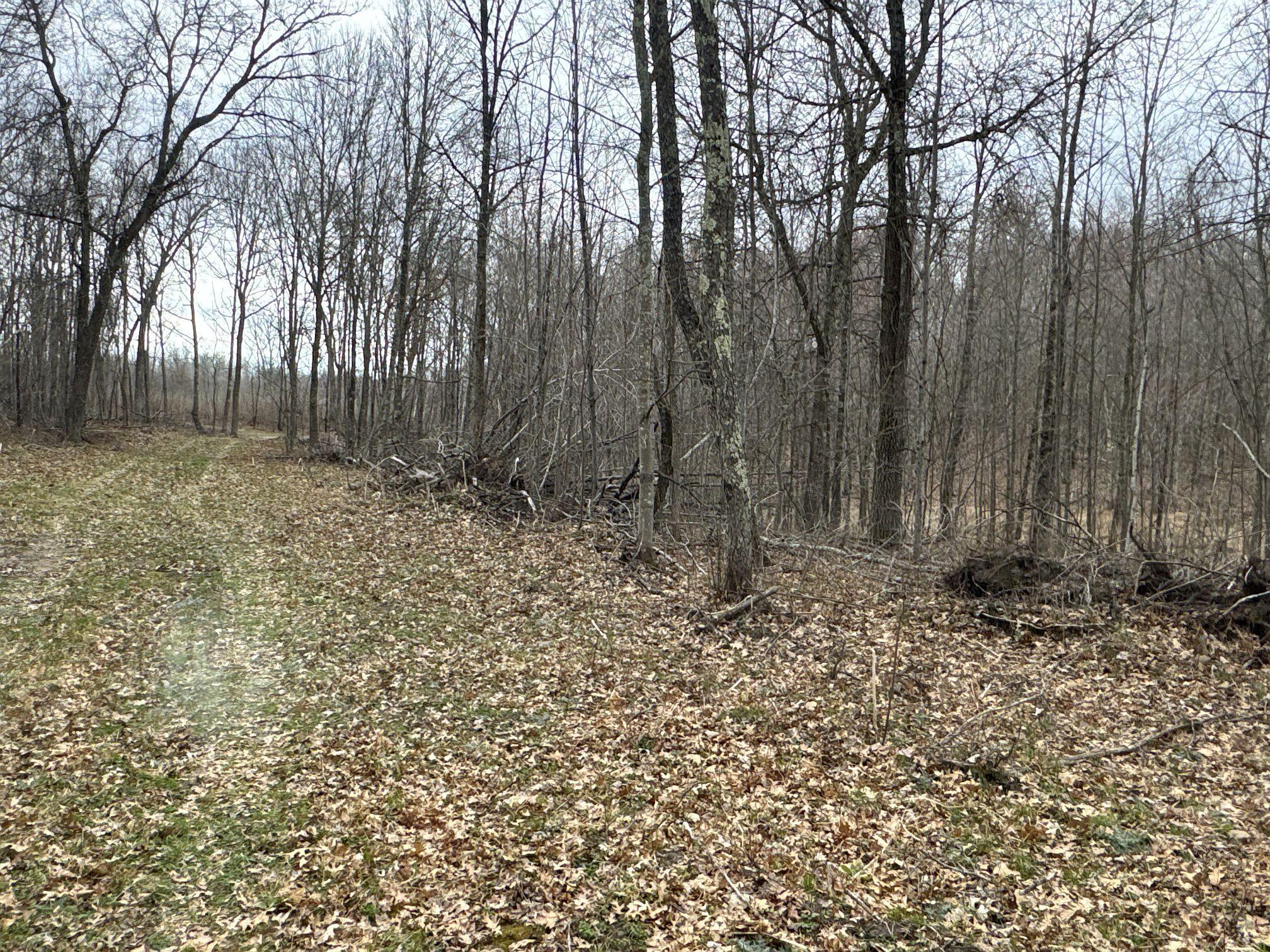Tbd Barrett Trail Property Photo 21