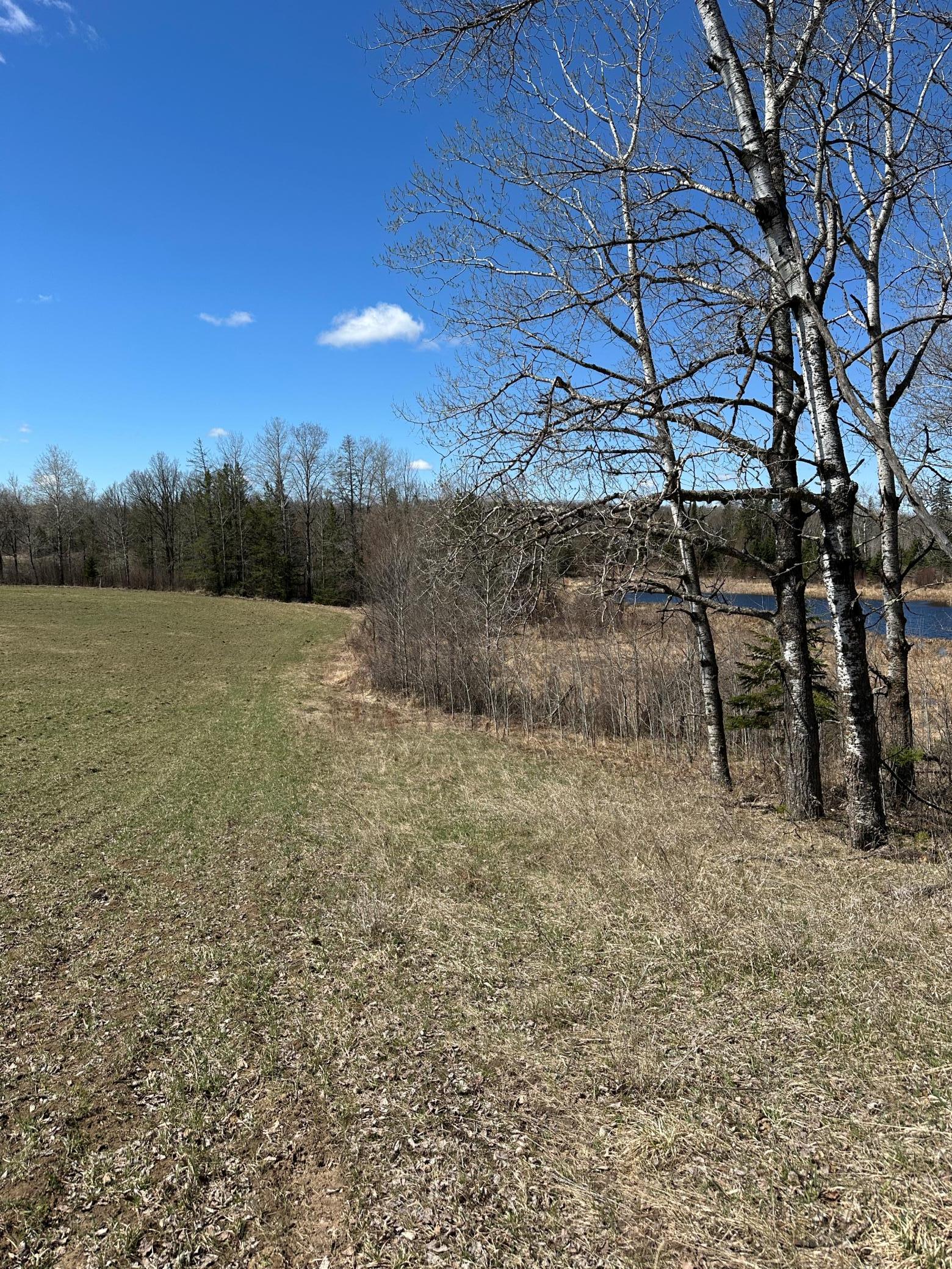 Tbd Ct Rd 307 Property Photo 1