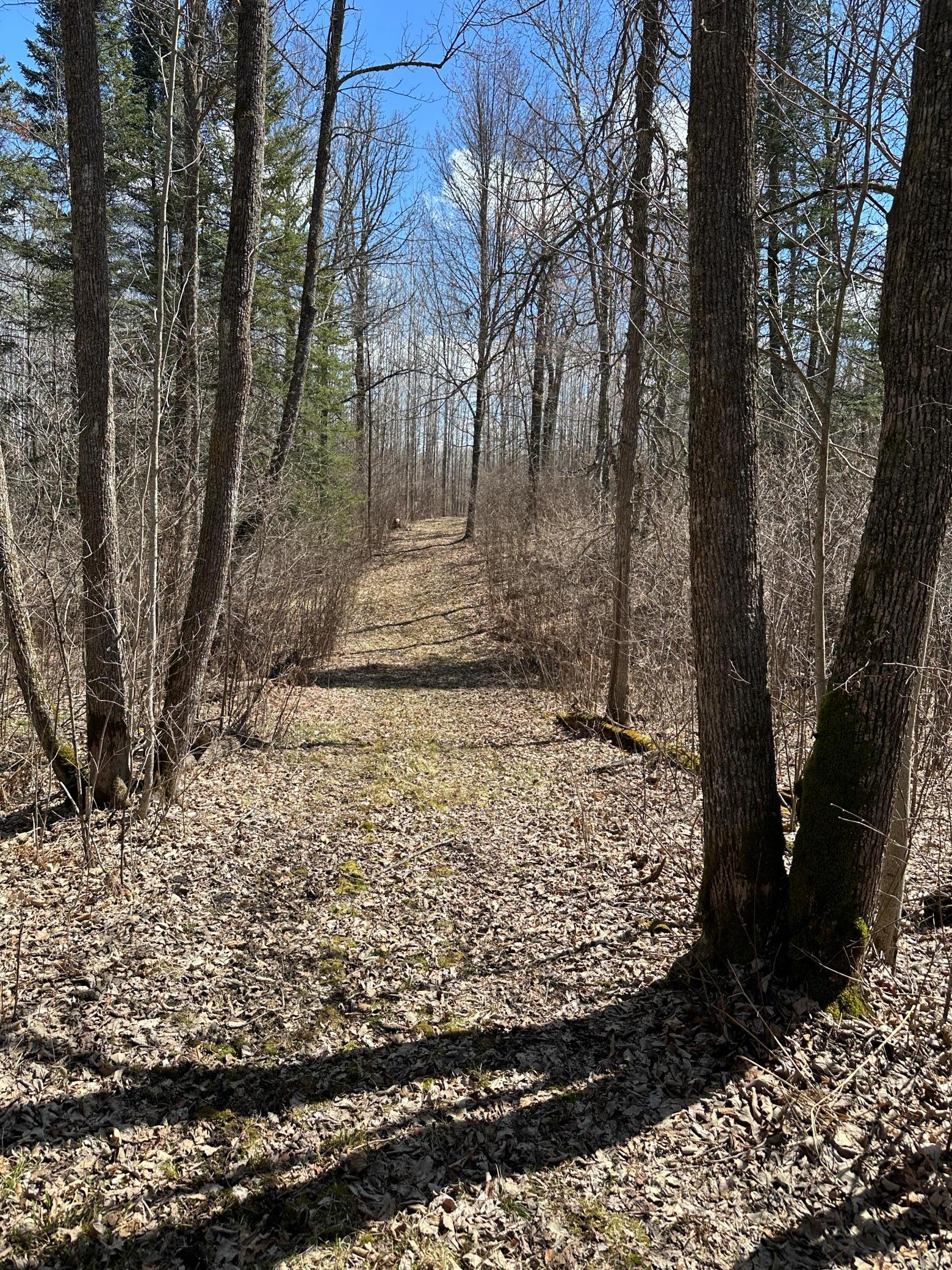 Tbd Ct Rd 307 Property Photo 3