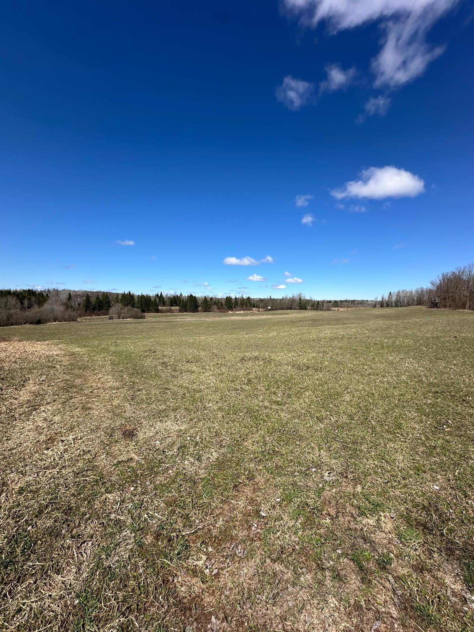 Tbd Ct Rd 307 Property Photo 4