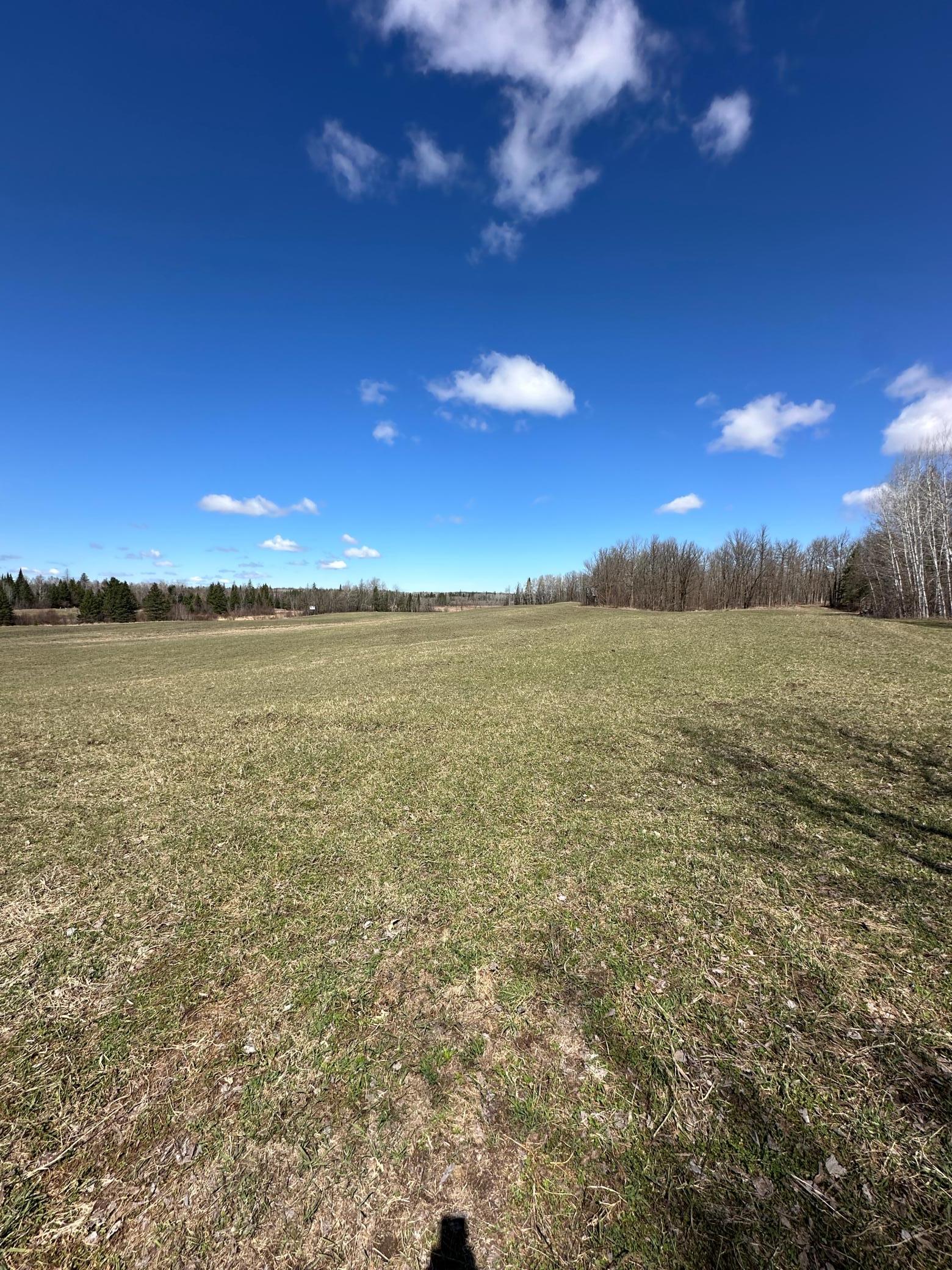 Tbd Ct Rd 307 Property Photo 6