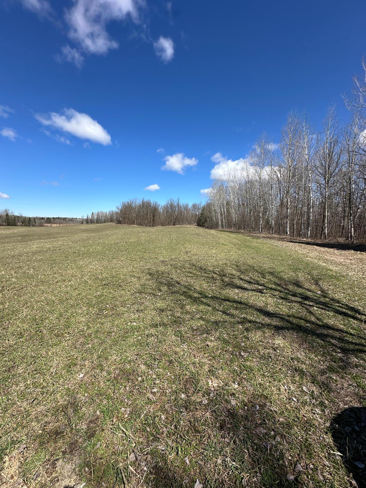 Tbd Ct Rd 307 Property Photo 7