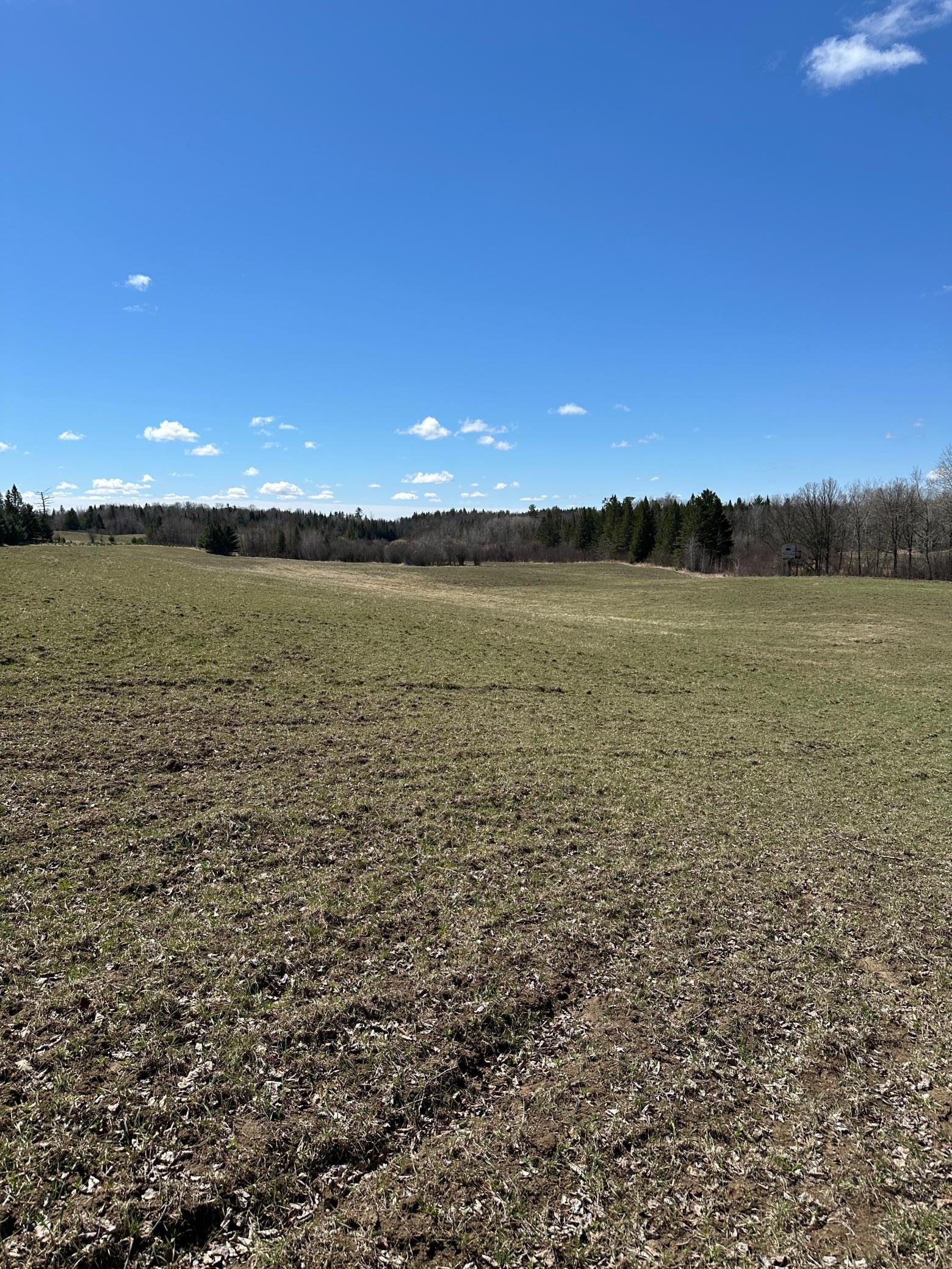Tbd Ct Rd 307 Property Photo 9
