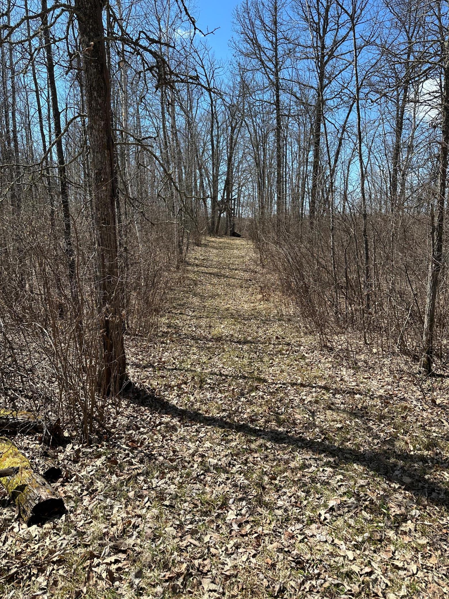Tbd Ct Rd 307 Property Photo 11