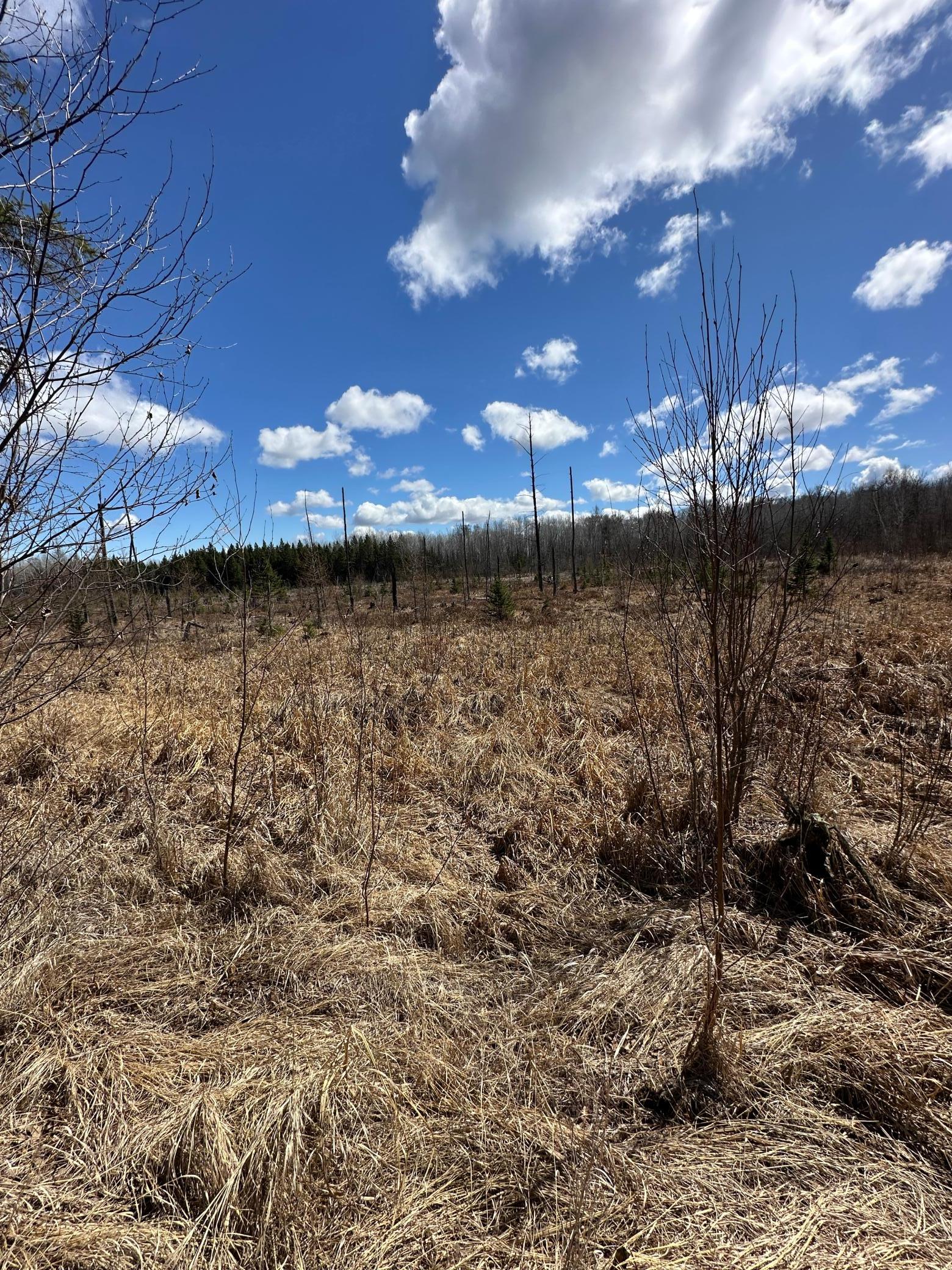 Tbd Ct Rd 307 Property Photo 12