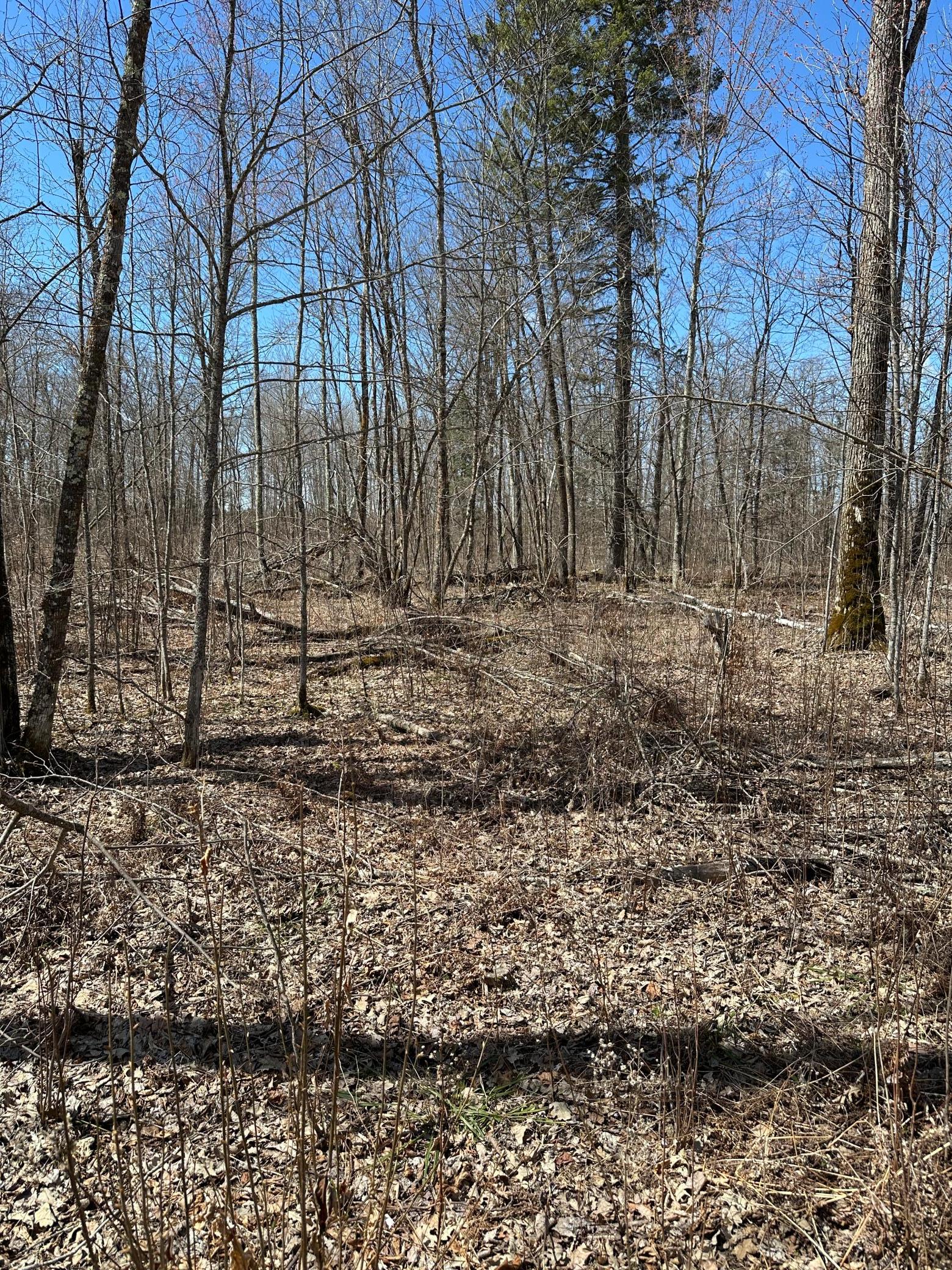 Tbd Ct Rd 307 Property Photo 13