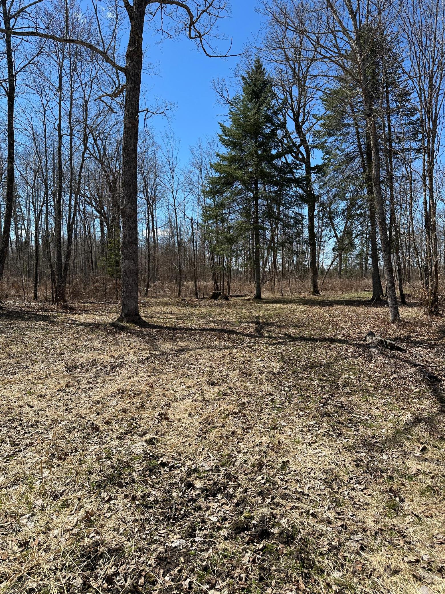 Tbd Ct Rd 307 Property Photo 14