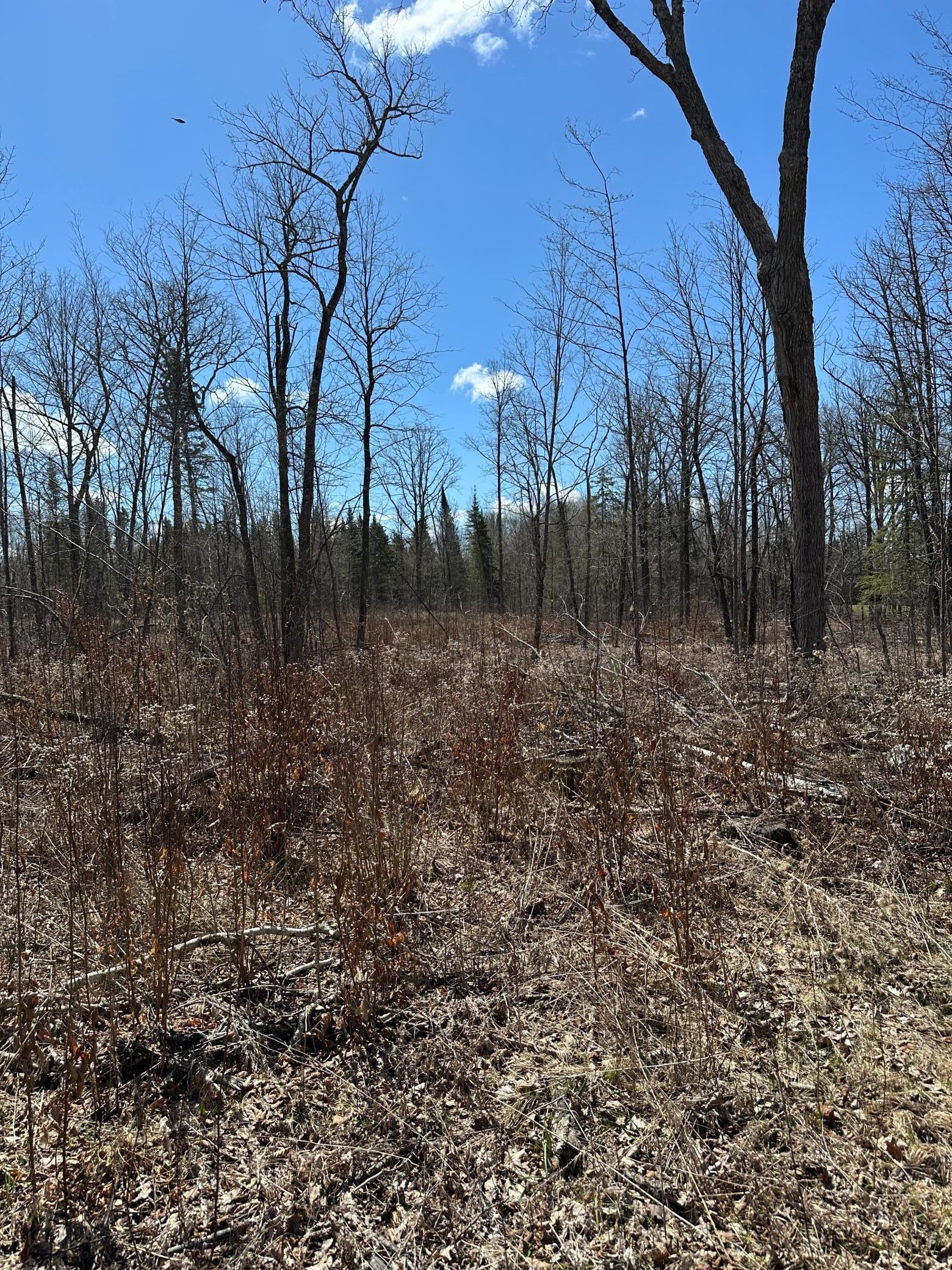 Tbd Ct Rd 307 Property Photo 15