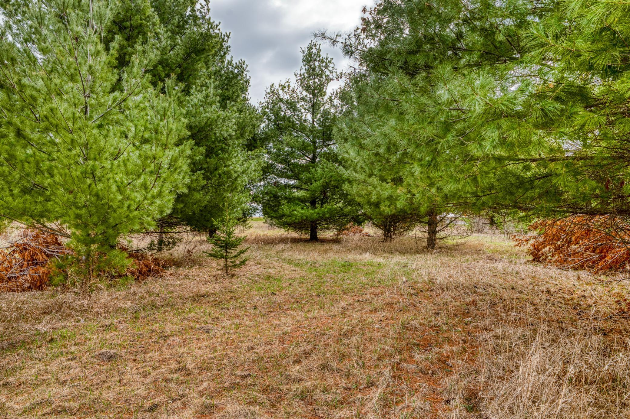 Tbd Hwy 71 South Property Photo 28