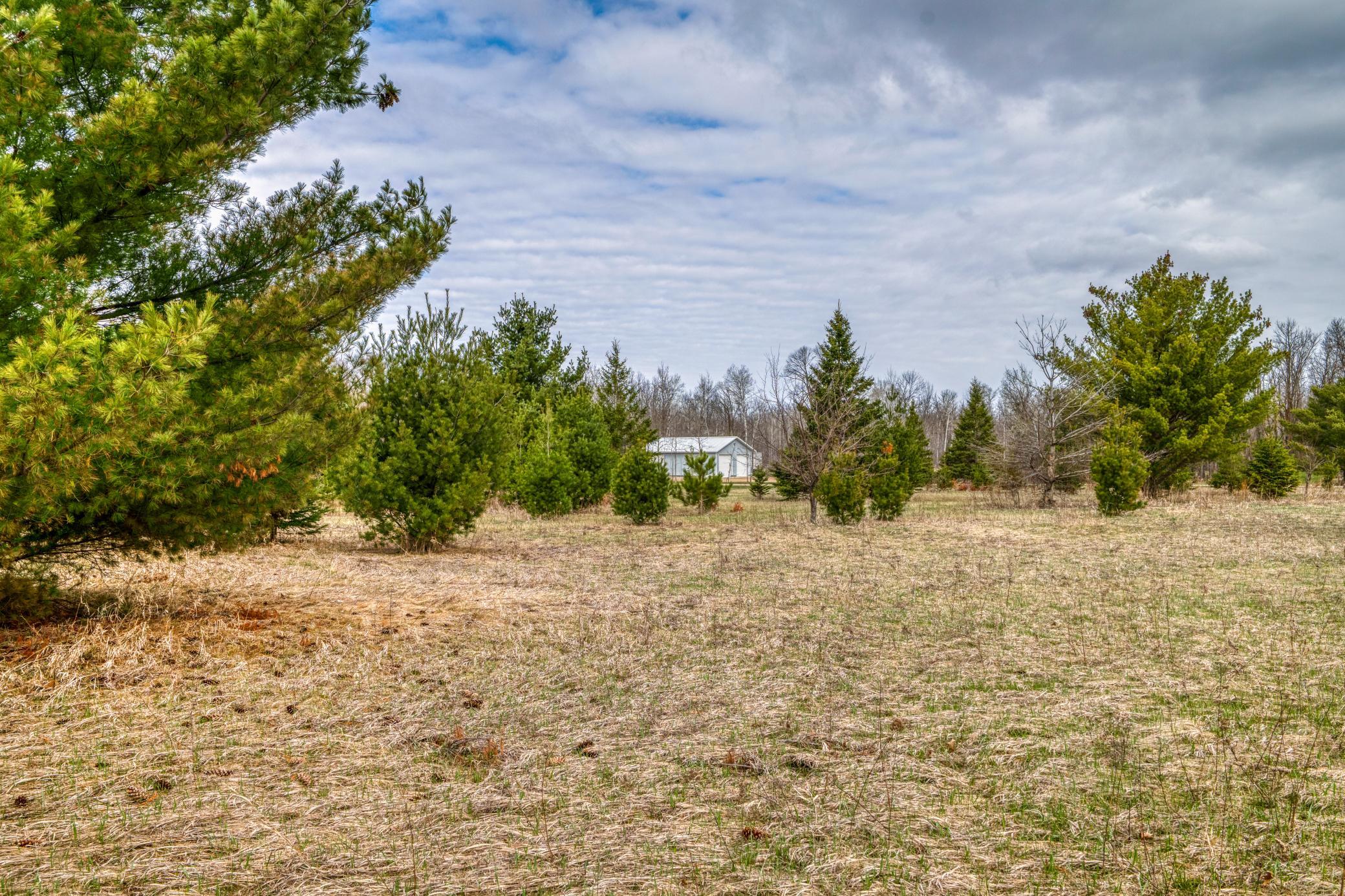 Tbd Hwy 71 South Property Photo 30