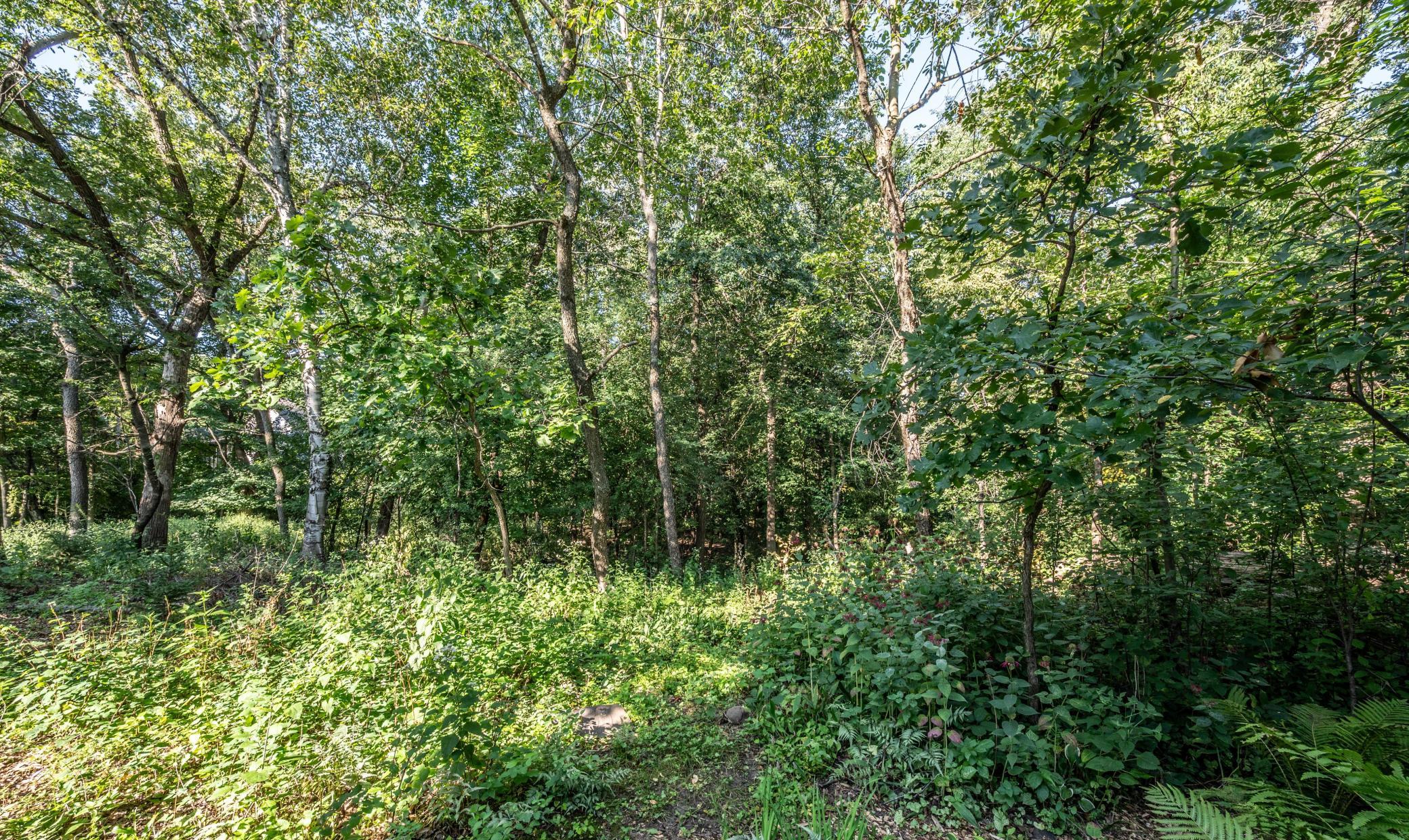 3971 Denmark Avenue Property Photo 30