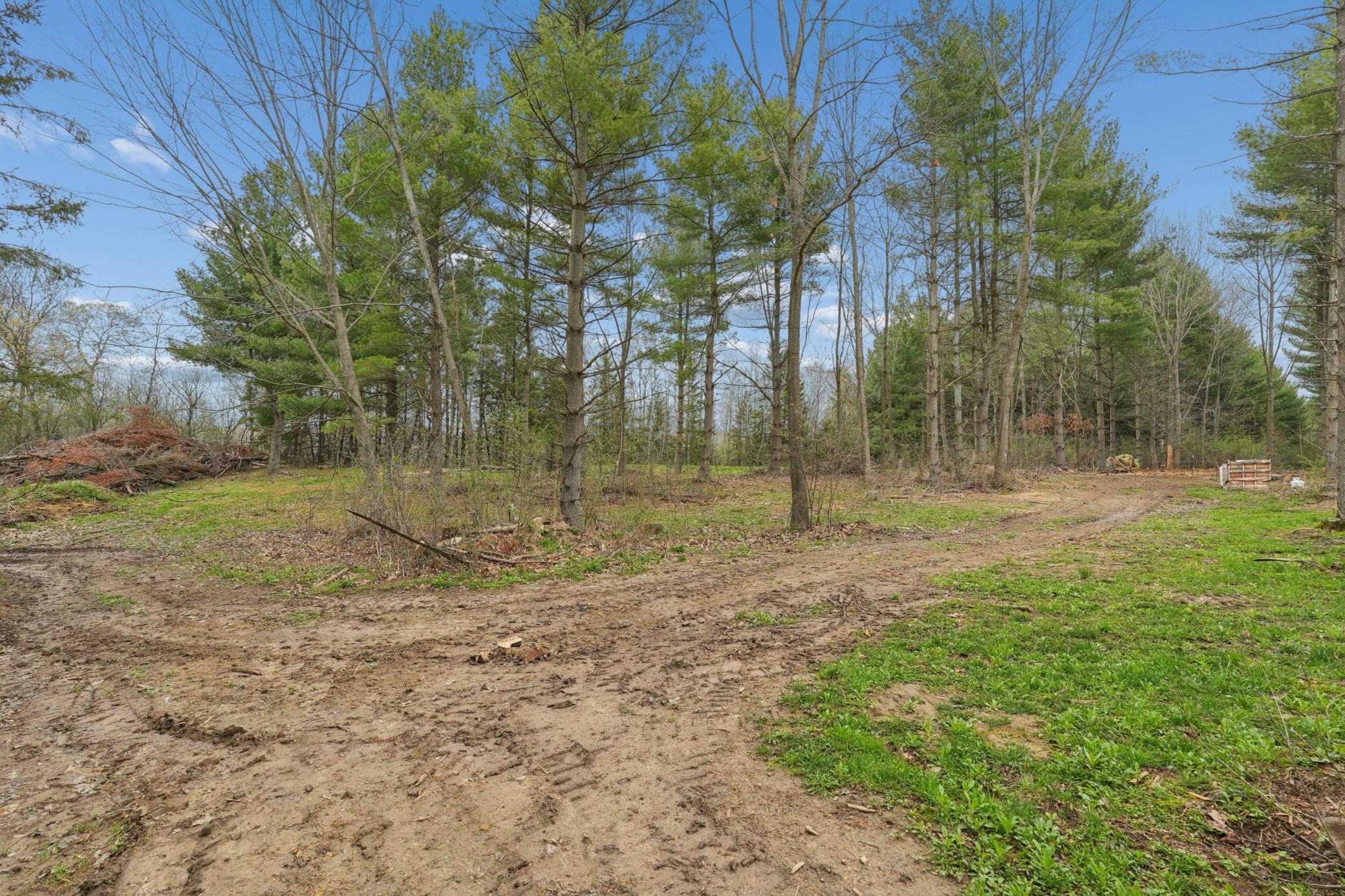 1725 Hwy 128 Property Photo 32