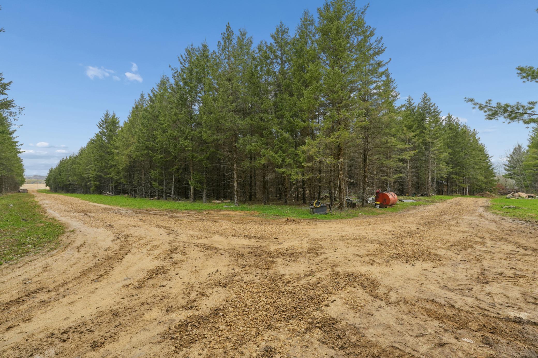 1725 Hwy 128 Property Photo 39
