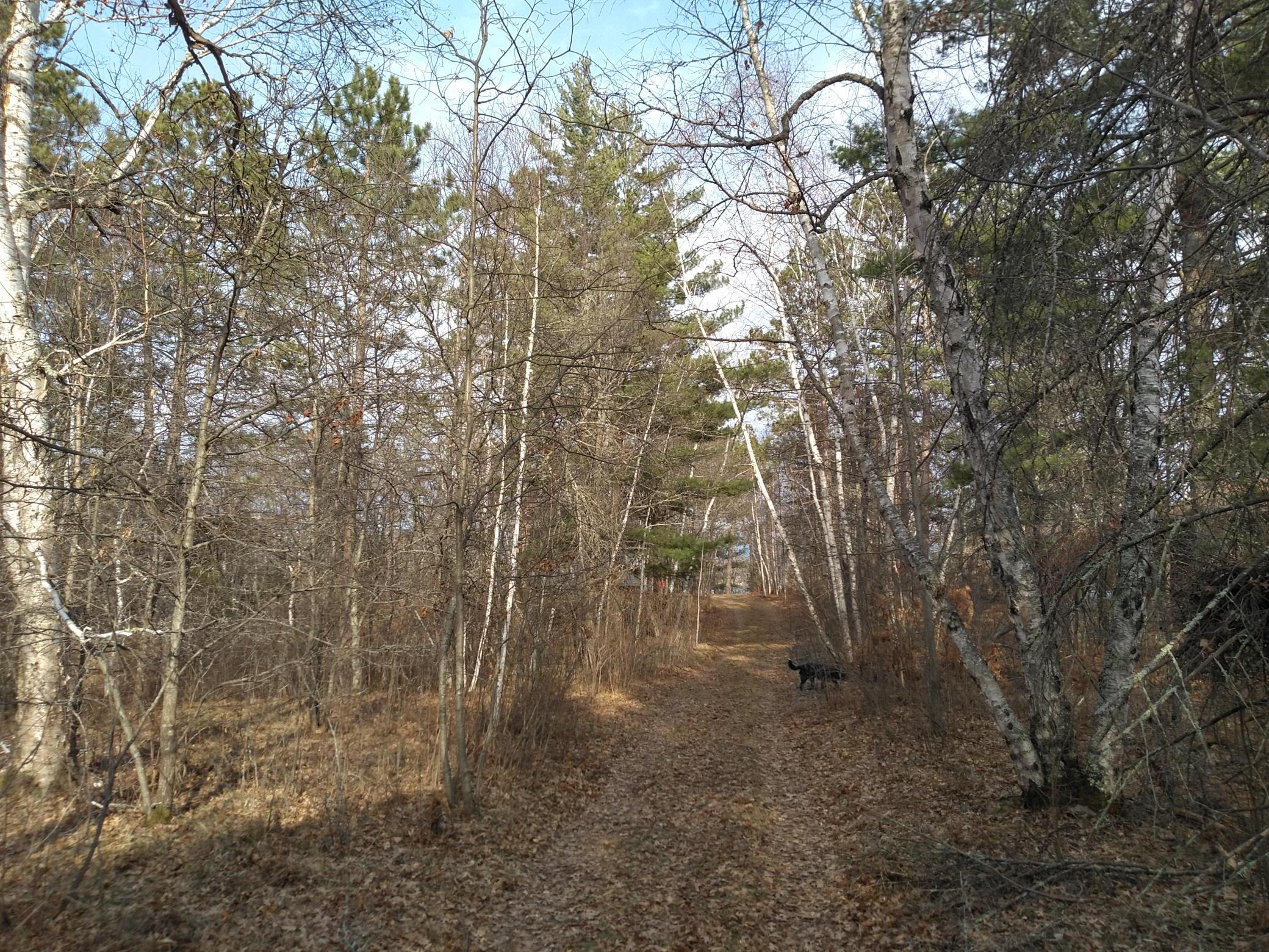 50126 County 29 Property Photo 5