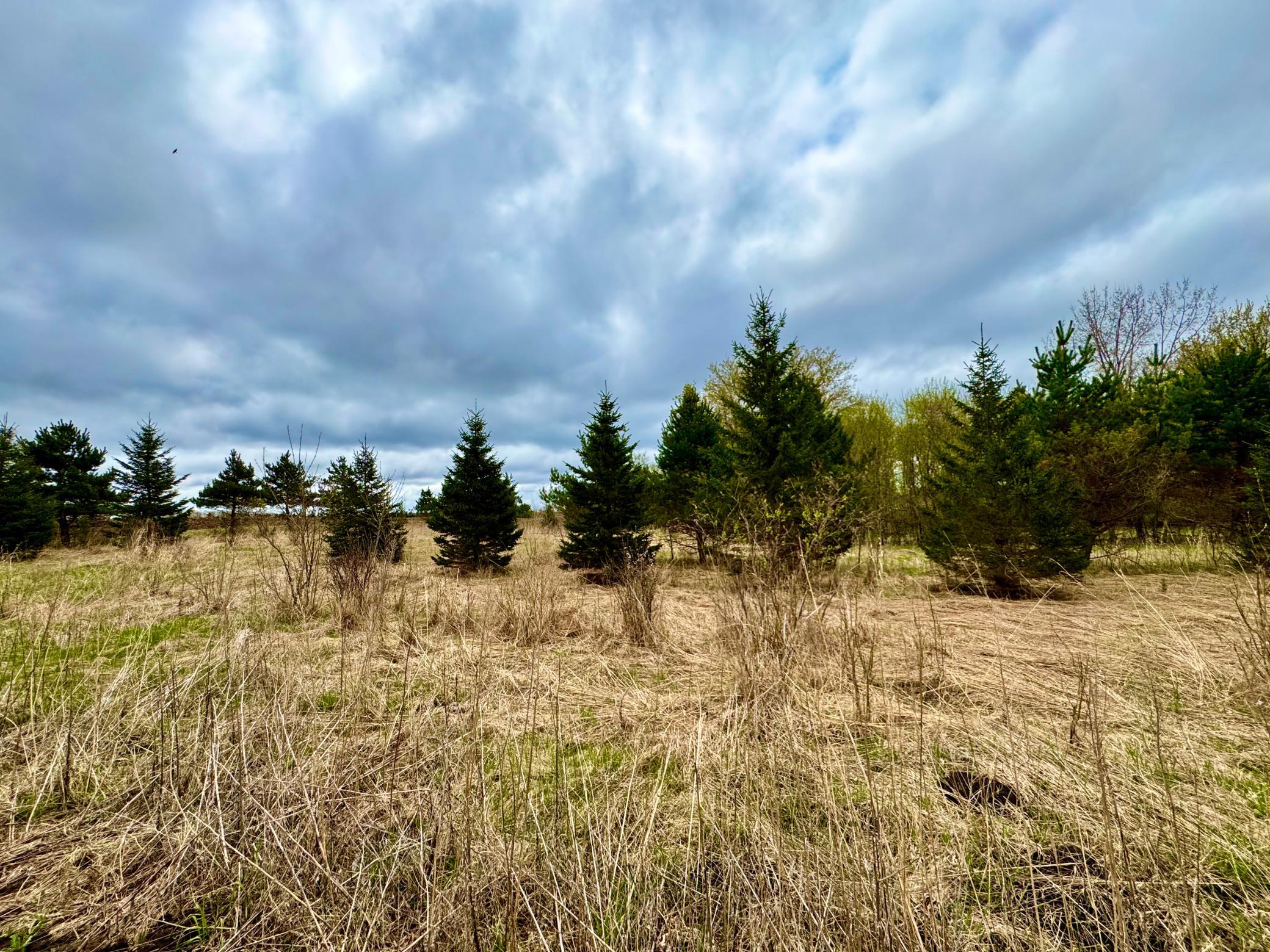10809 Grand Lake Road Property Photo 4
