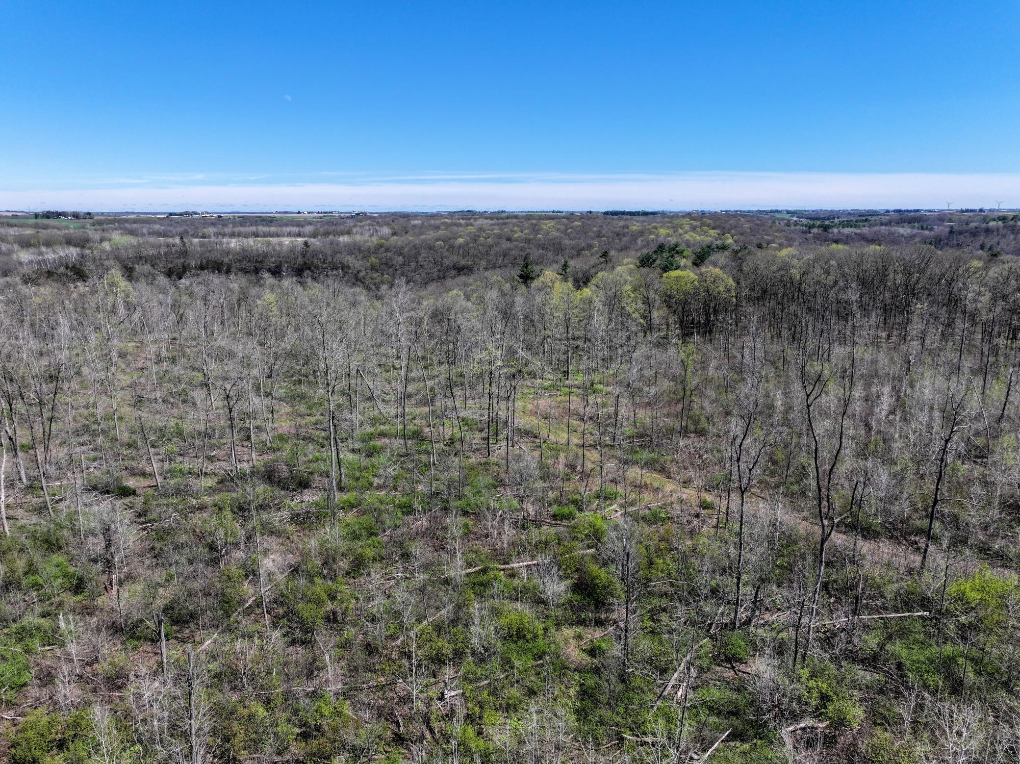 Tbd Tierney Drive Property Photo 8