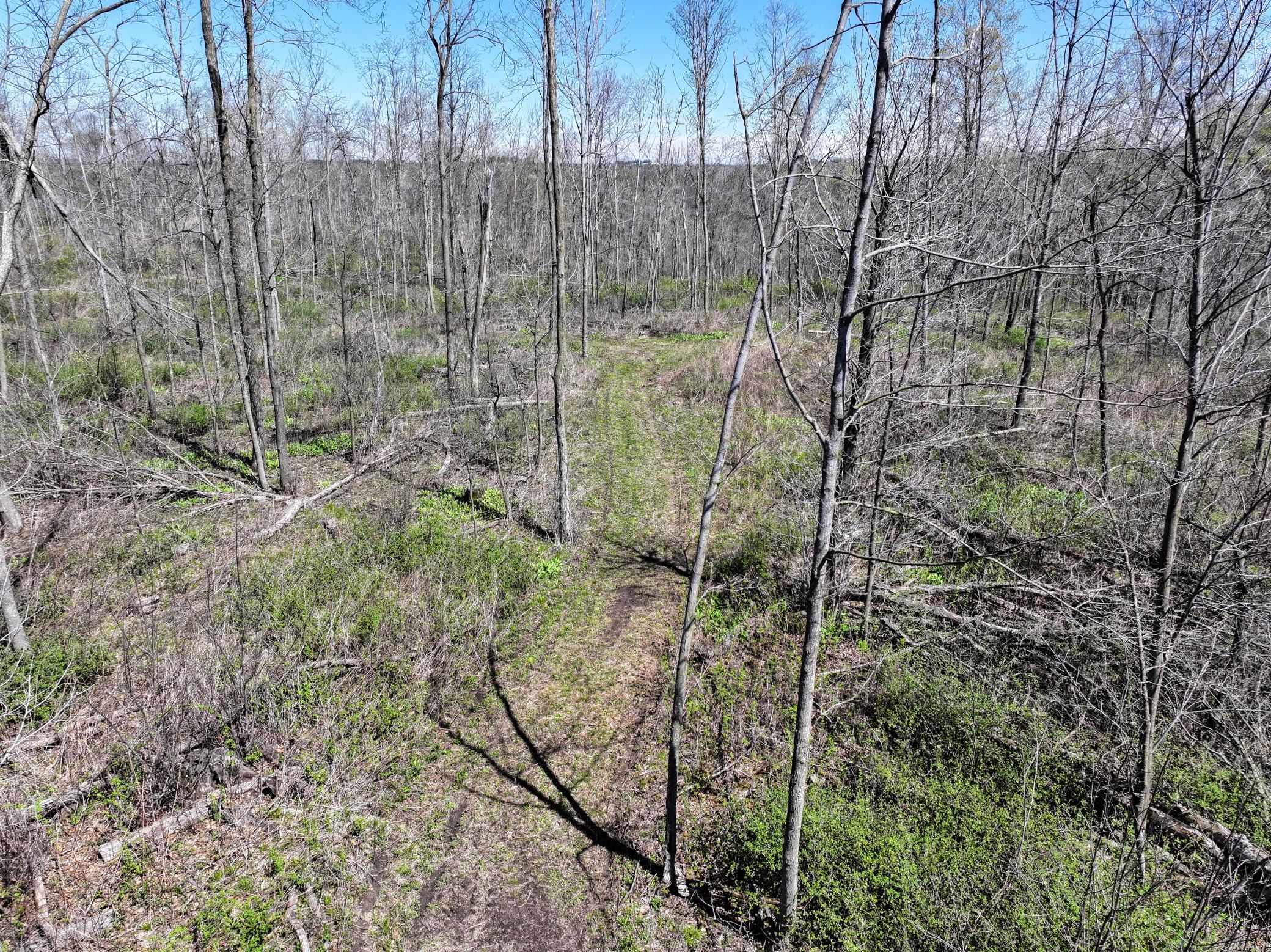 Tbd Tierney Drive Property Photo 9