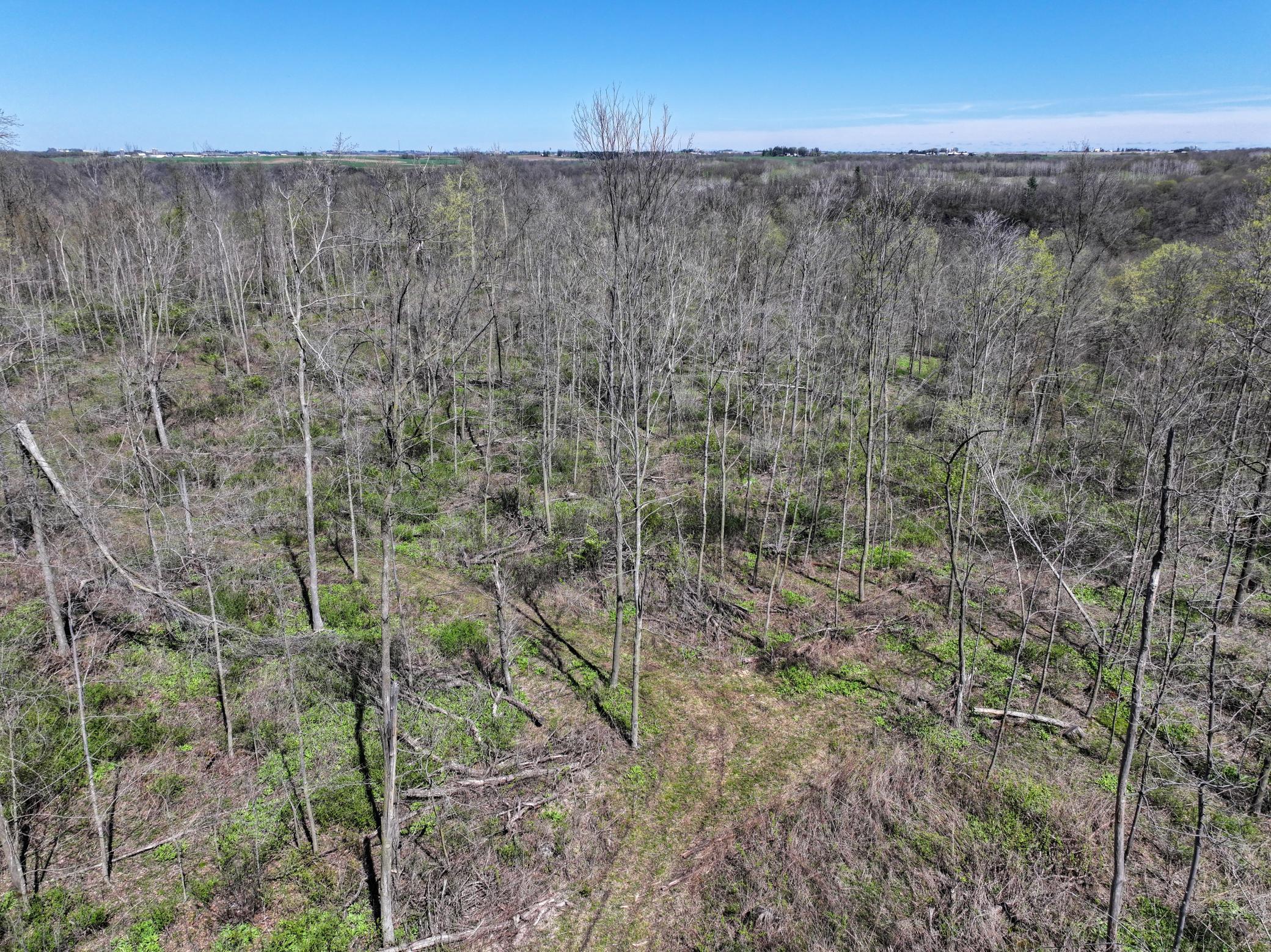 Tbd Tierney Drive Property Photo 10