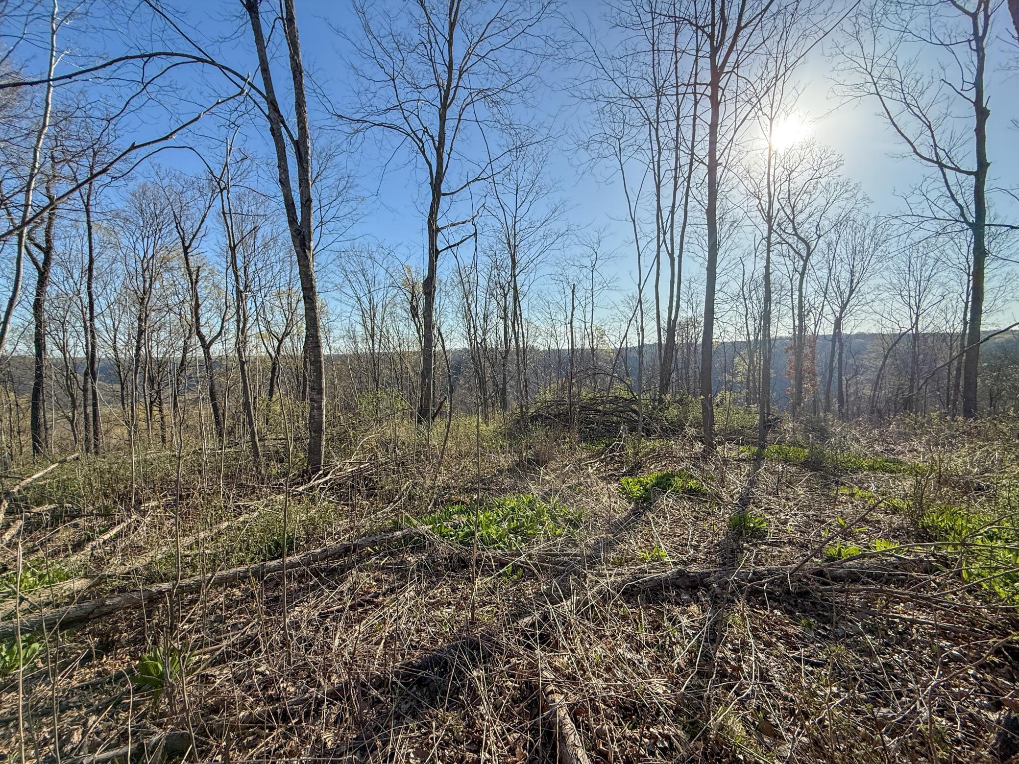 Tbd Tierney Drive Property Photo 17