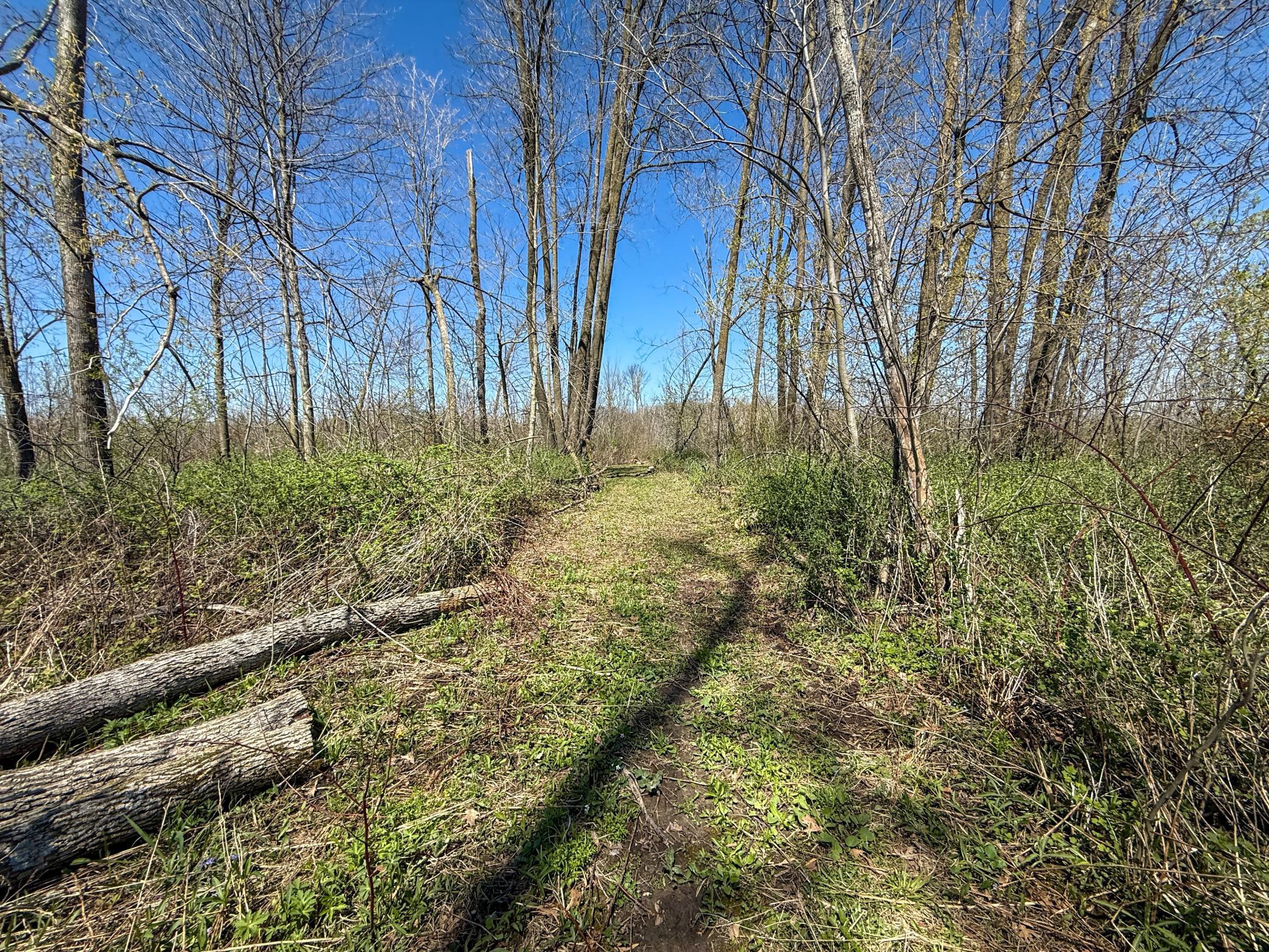 Tbd Tierney Drive Property Photo 19