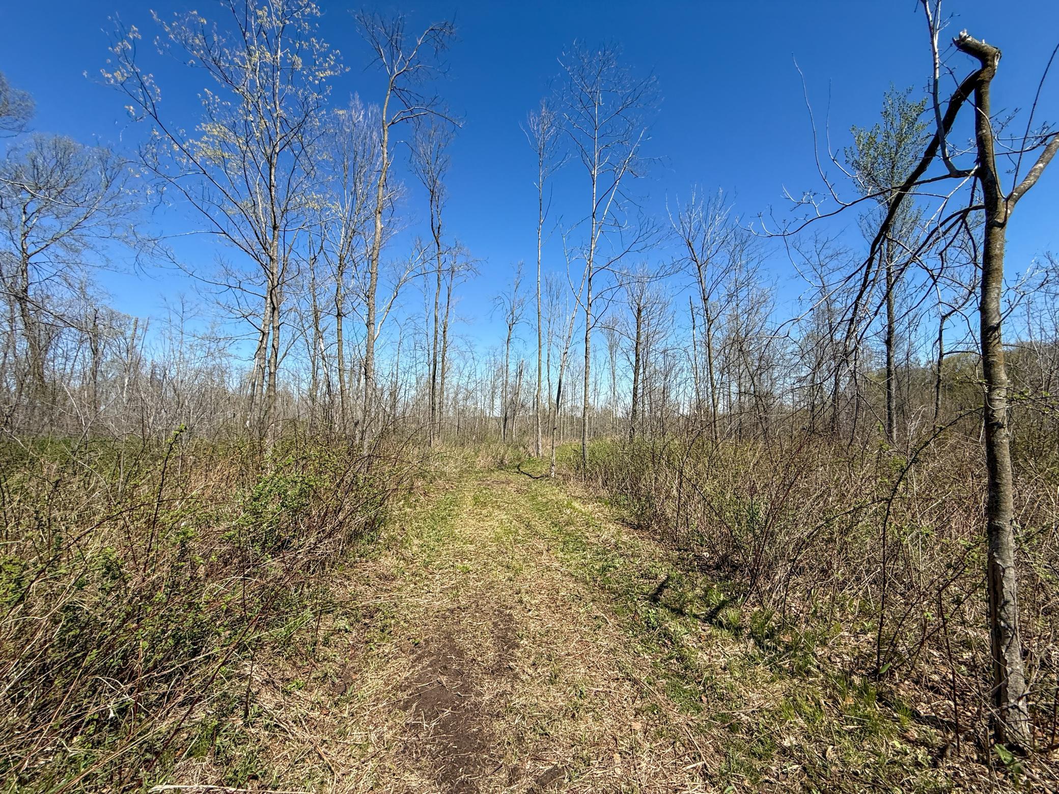 Tbd Tierney Drive Property Photo 20