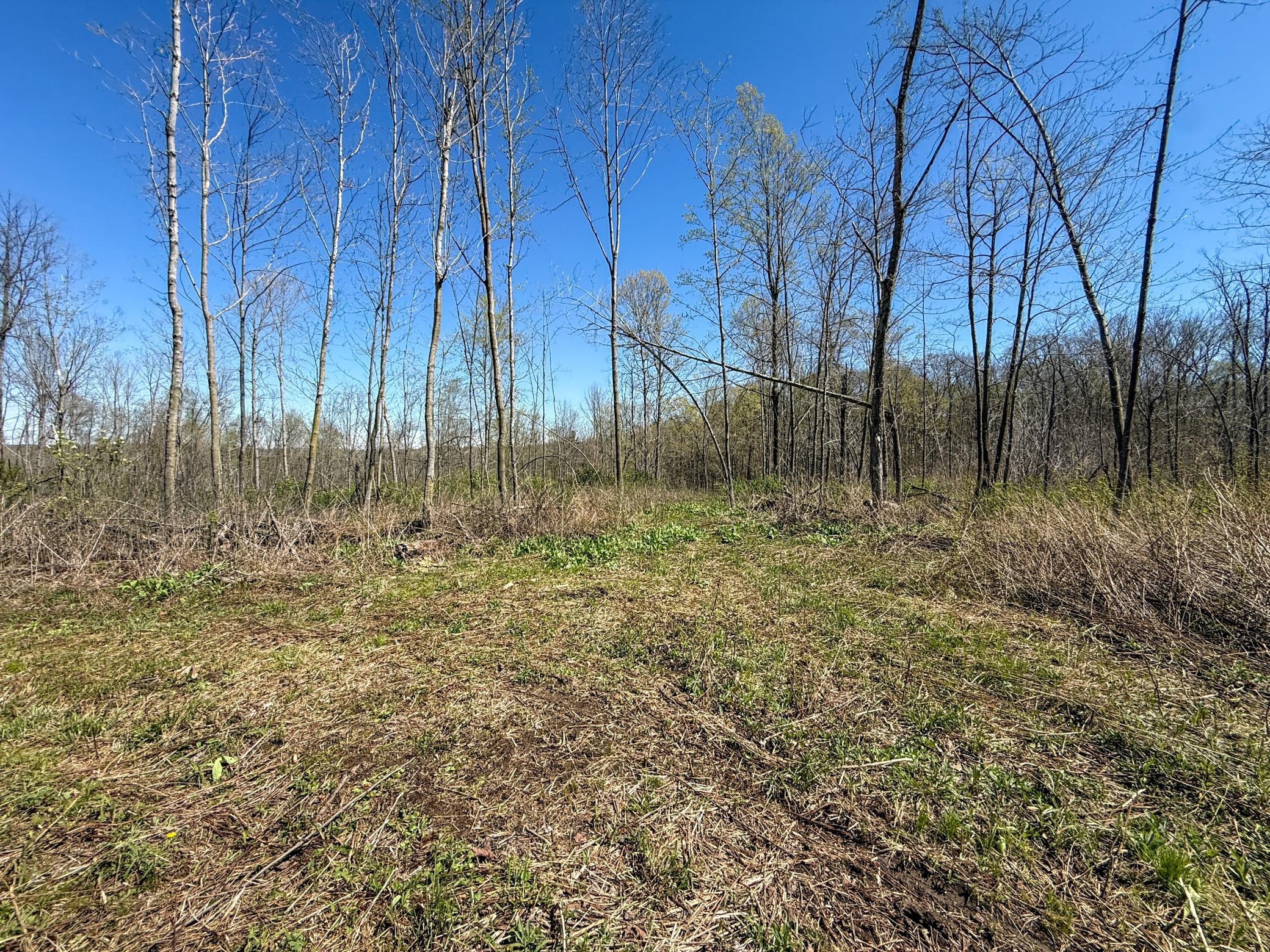 Tbd Tierney Drive Property Photo 21