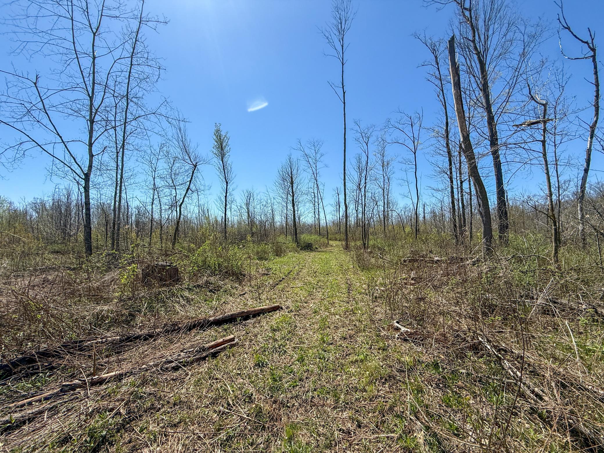 Tbd Tierney Drive Property Photo 22