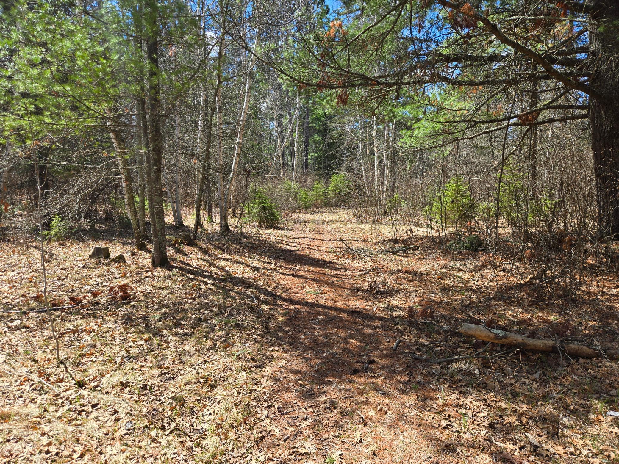 34857 Dinner Lake Loop Property Photo 49