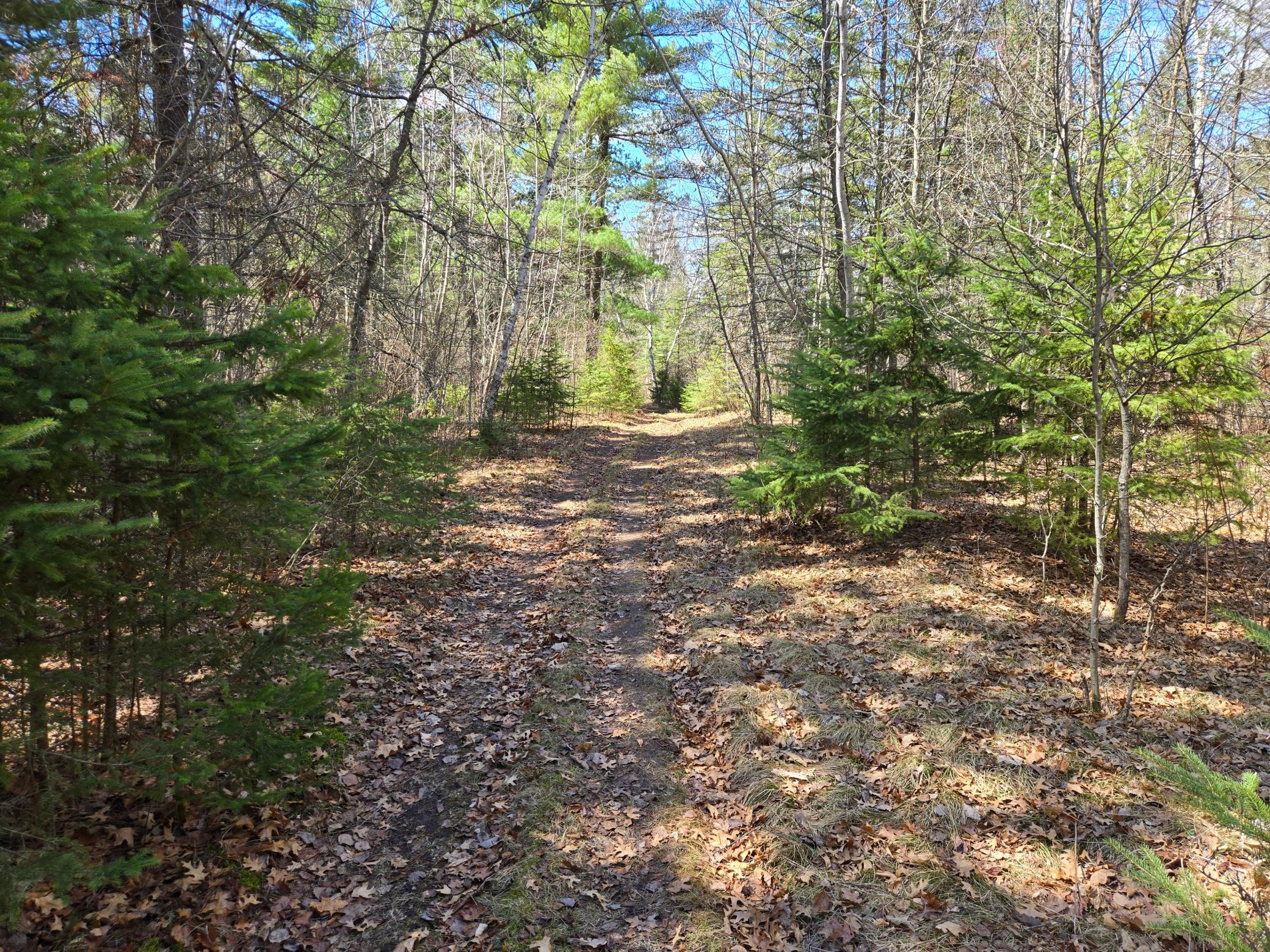 34857 Dinner Lake Loop Property Photo 50