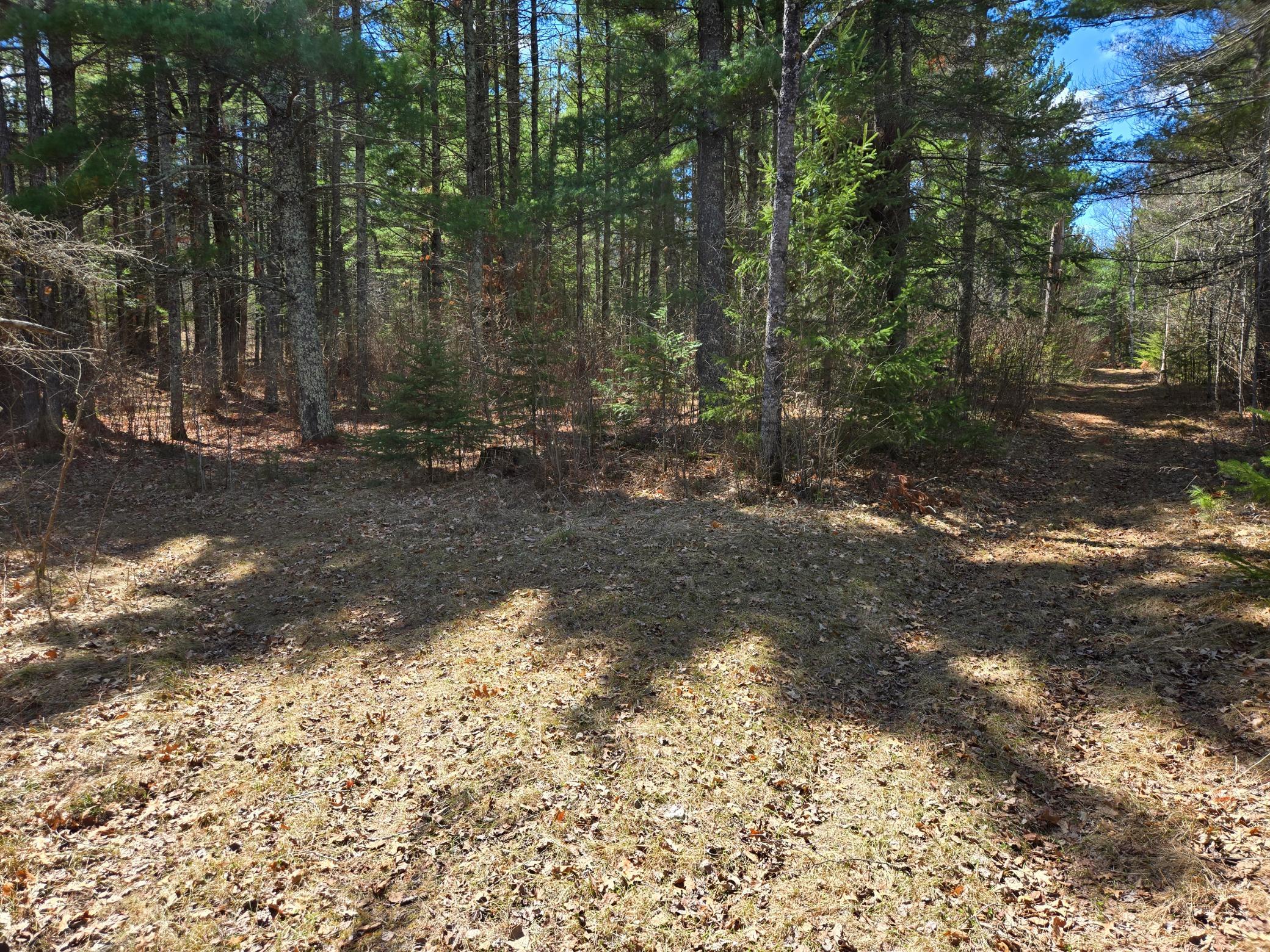 34857 Dinner Lake Loop Property Photo 52