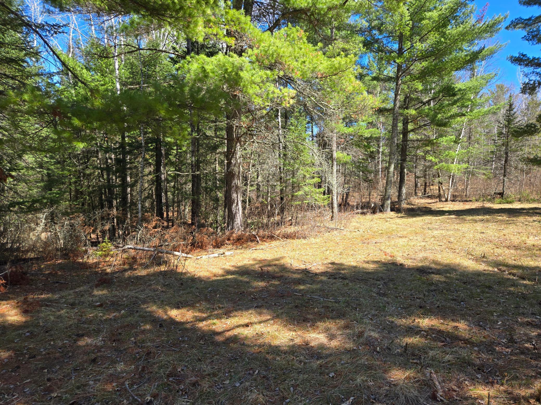 34857 Dinner Lake Loop Property Photo 53
