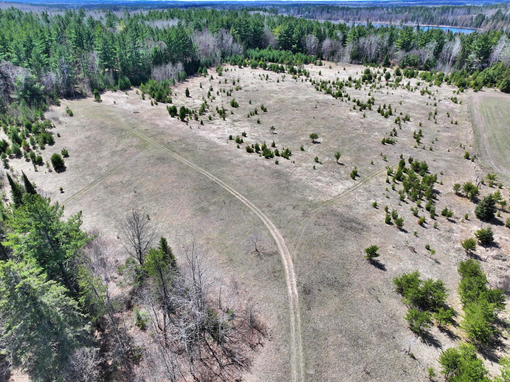 34857 Dinner Lake Loop Property Photo 59