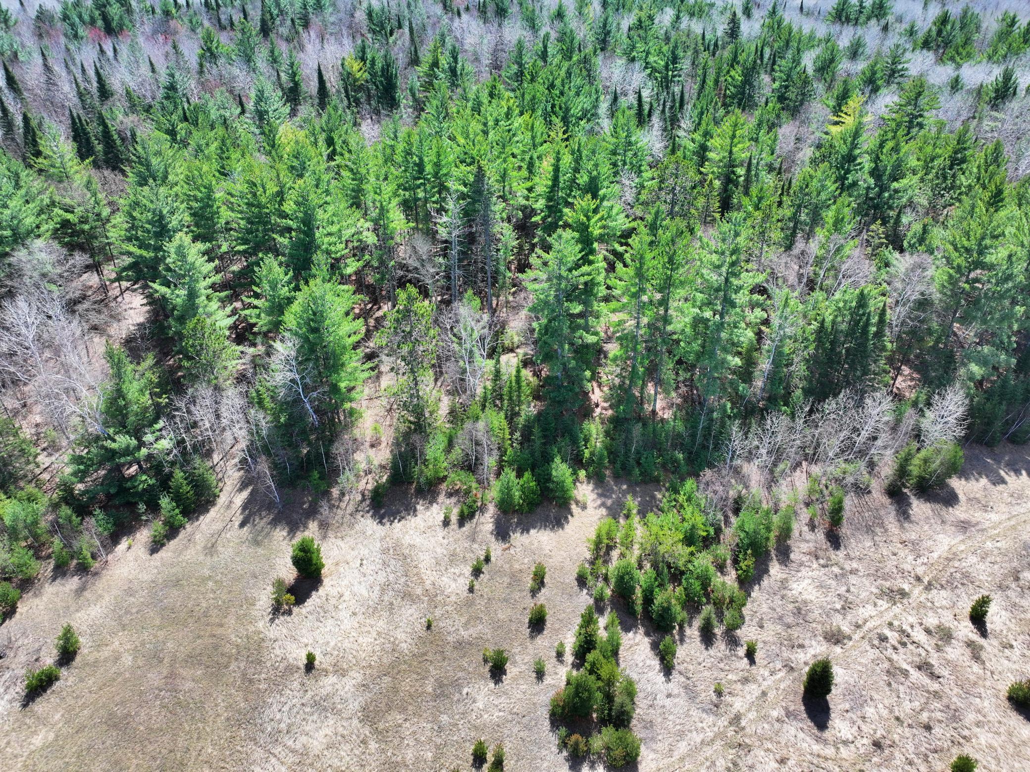 34857 Dinner Lake Loop Property Photo 60