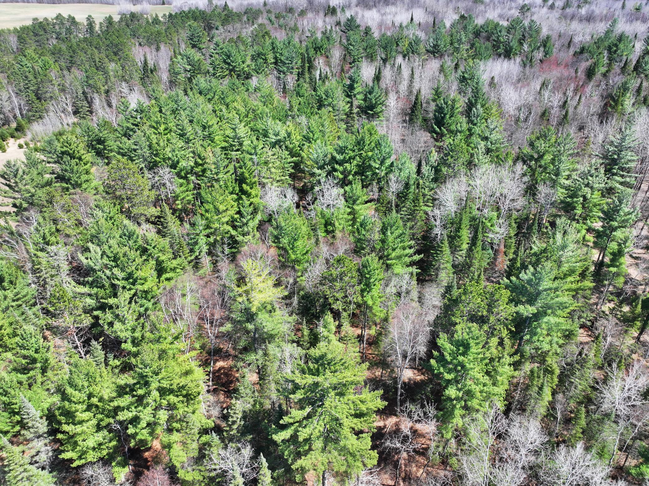 34857 Dinner Lake Loop Property Photo 61