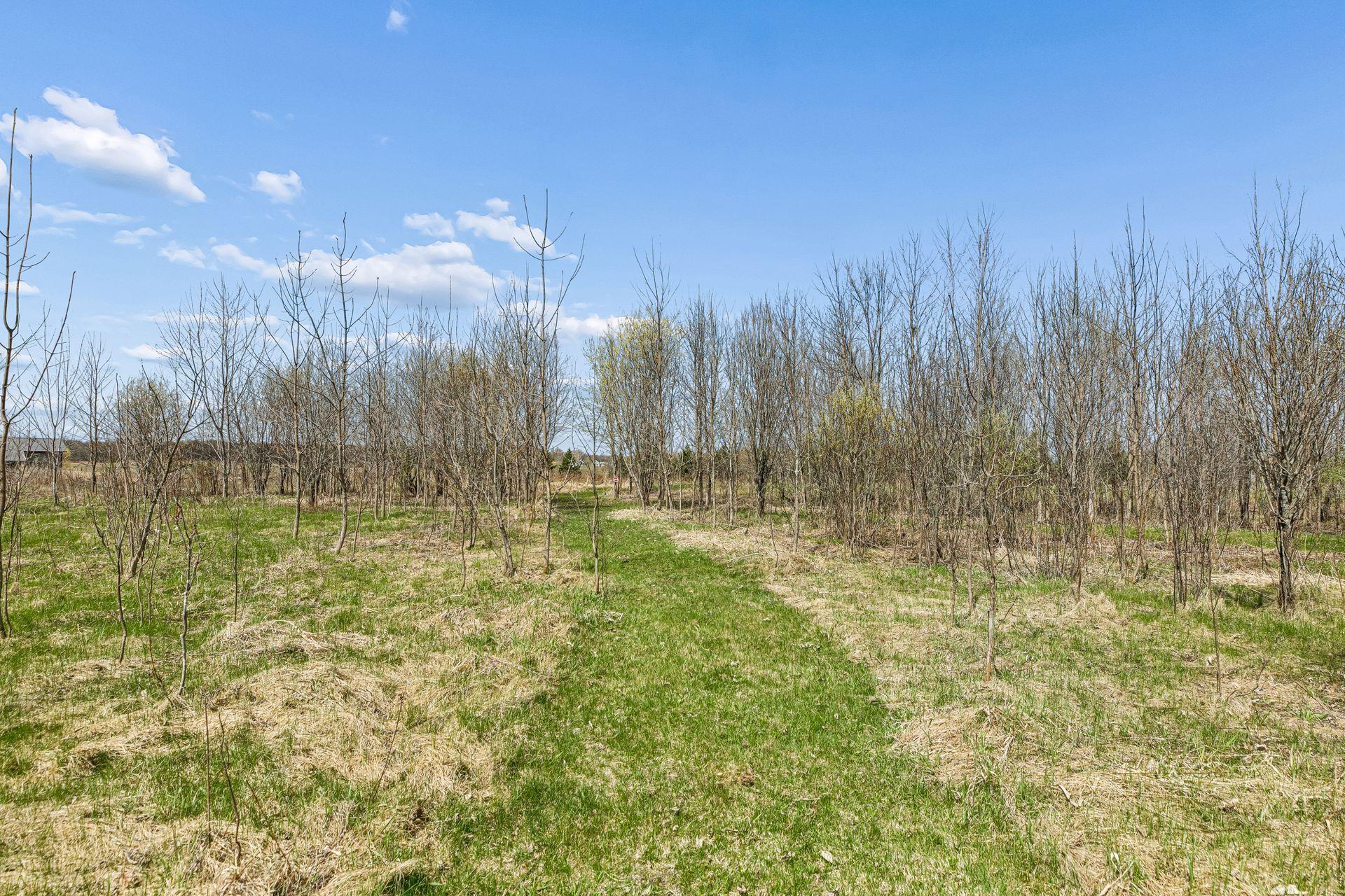 13556 355th Street Property Photo 48
